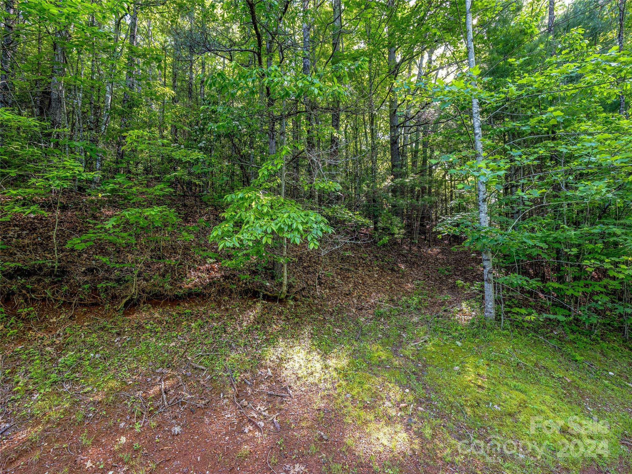 Lake Toxaway, NC 28747,TBD (HM 103) Hawk Mountain RD