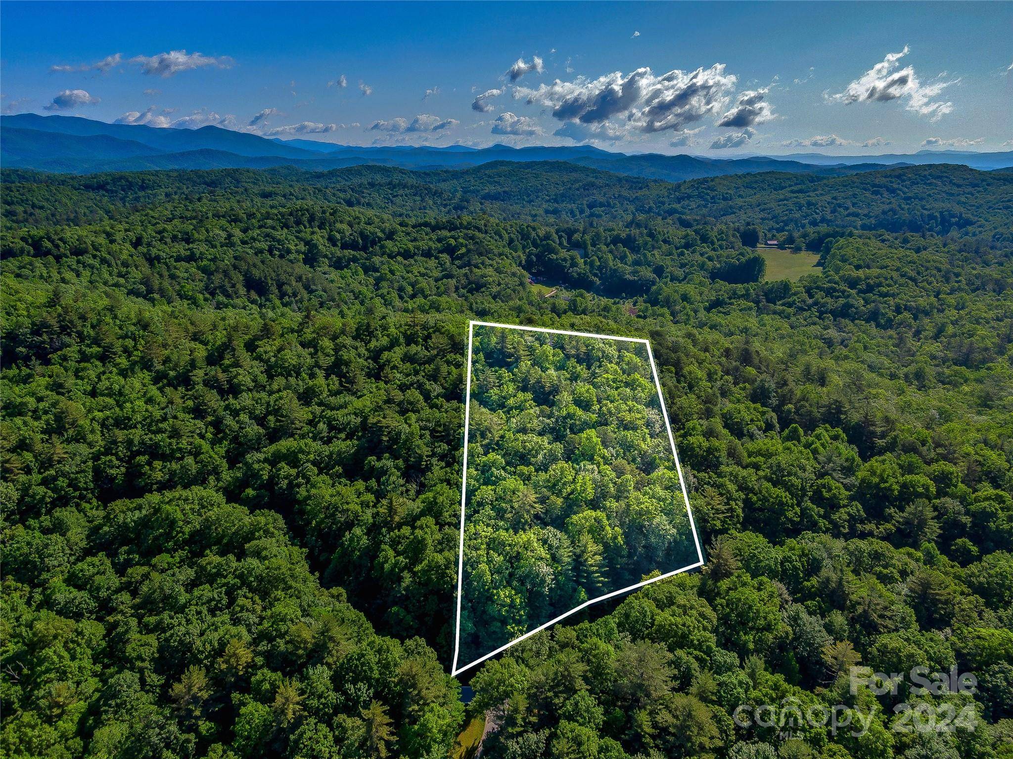 Lake Toxaway, NC 28747,TBD (HM 103) Hawk Mountain RD