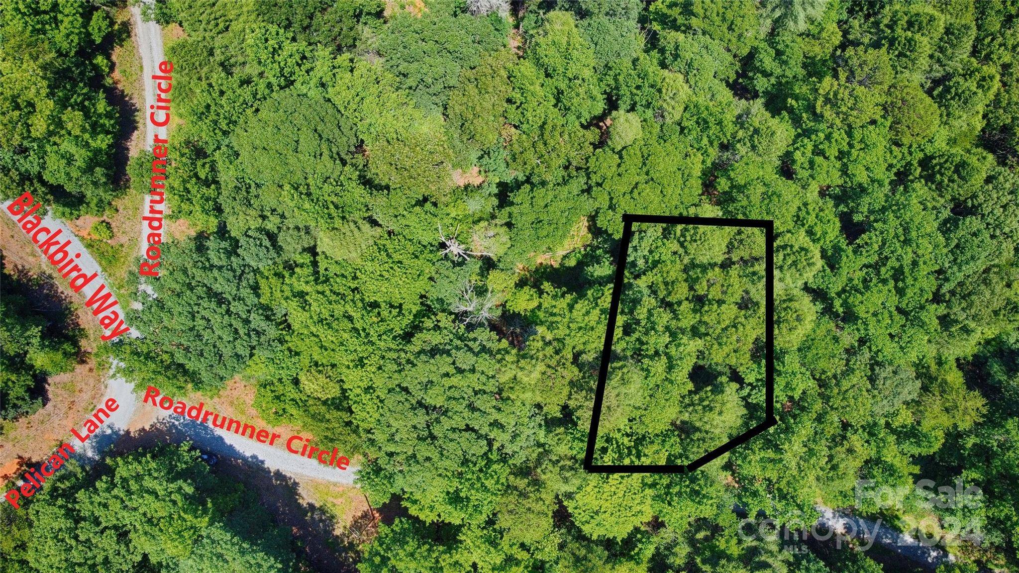 Lake Lure, NC 28746,0000 Roadrunner CIR #78
