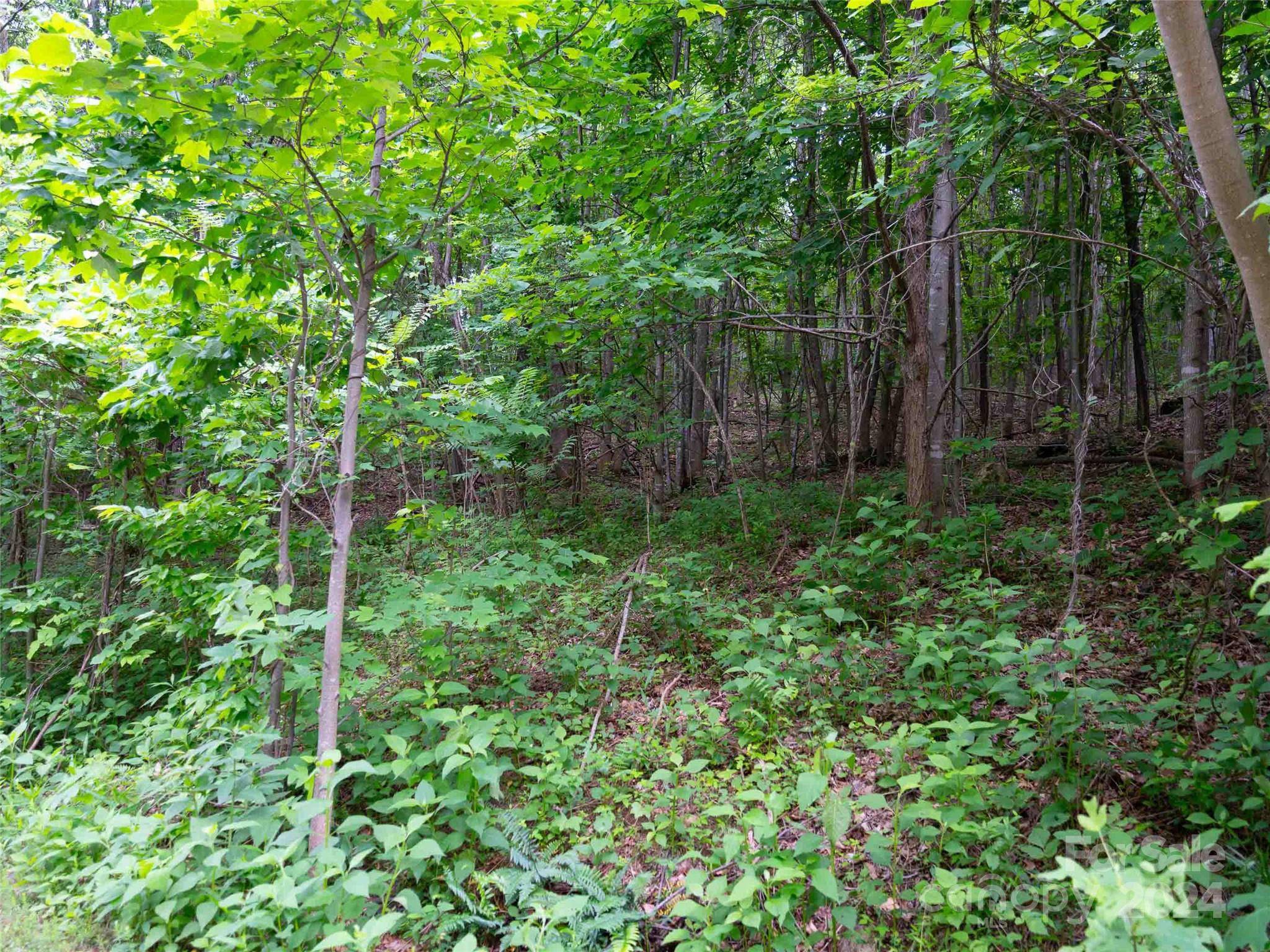 Mill Spring, NC 28756,Lot 195 Cherry Hill None