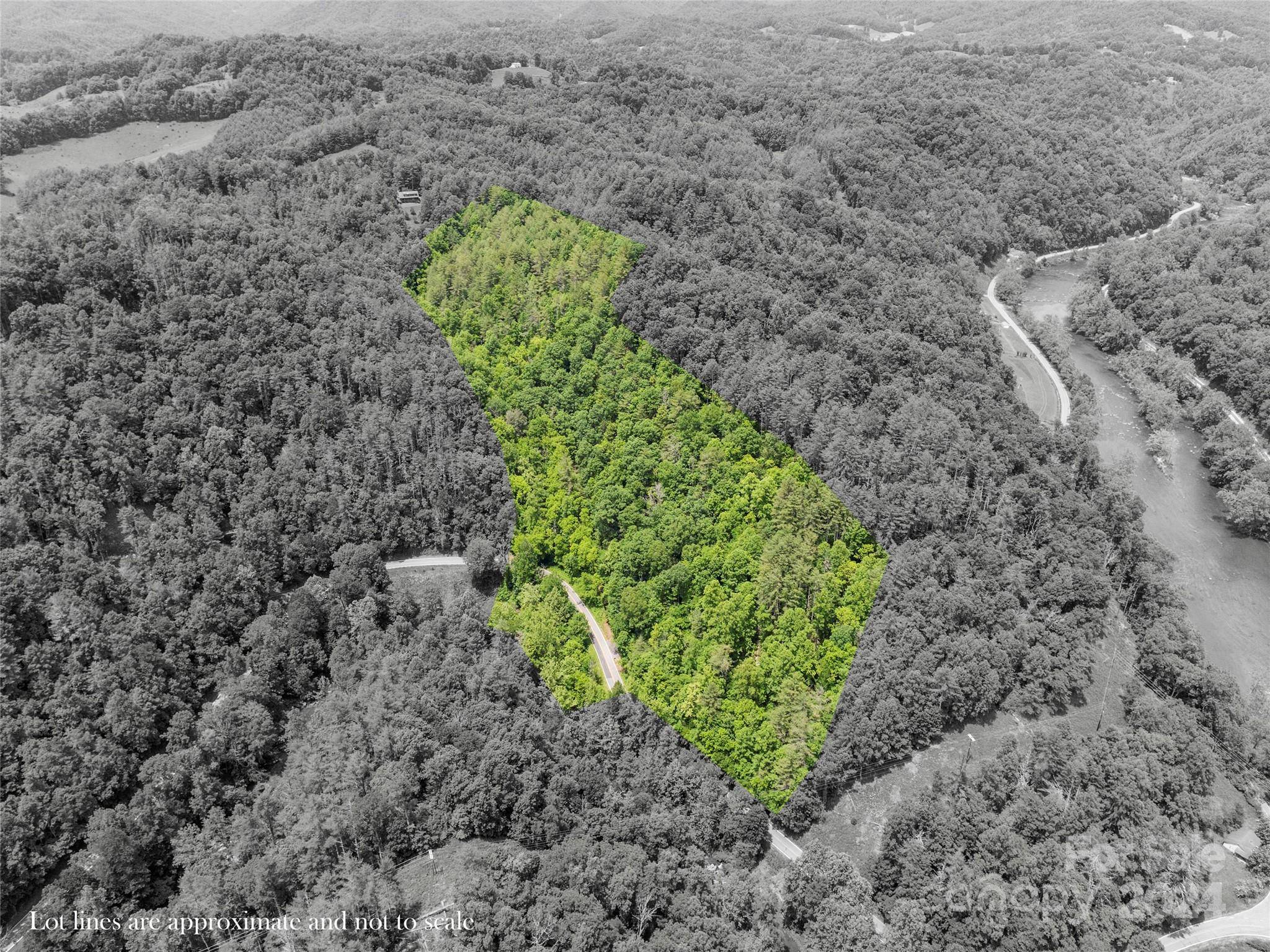 Green Mountain, NC 28740,000 Jacks Creek RD