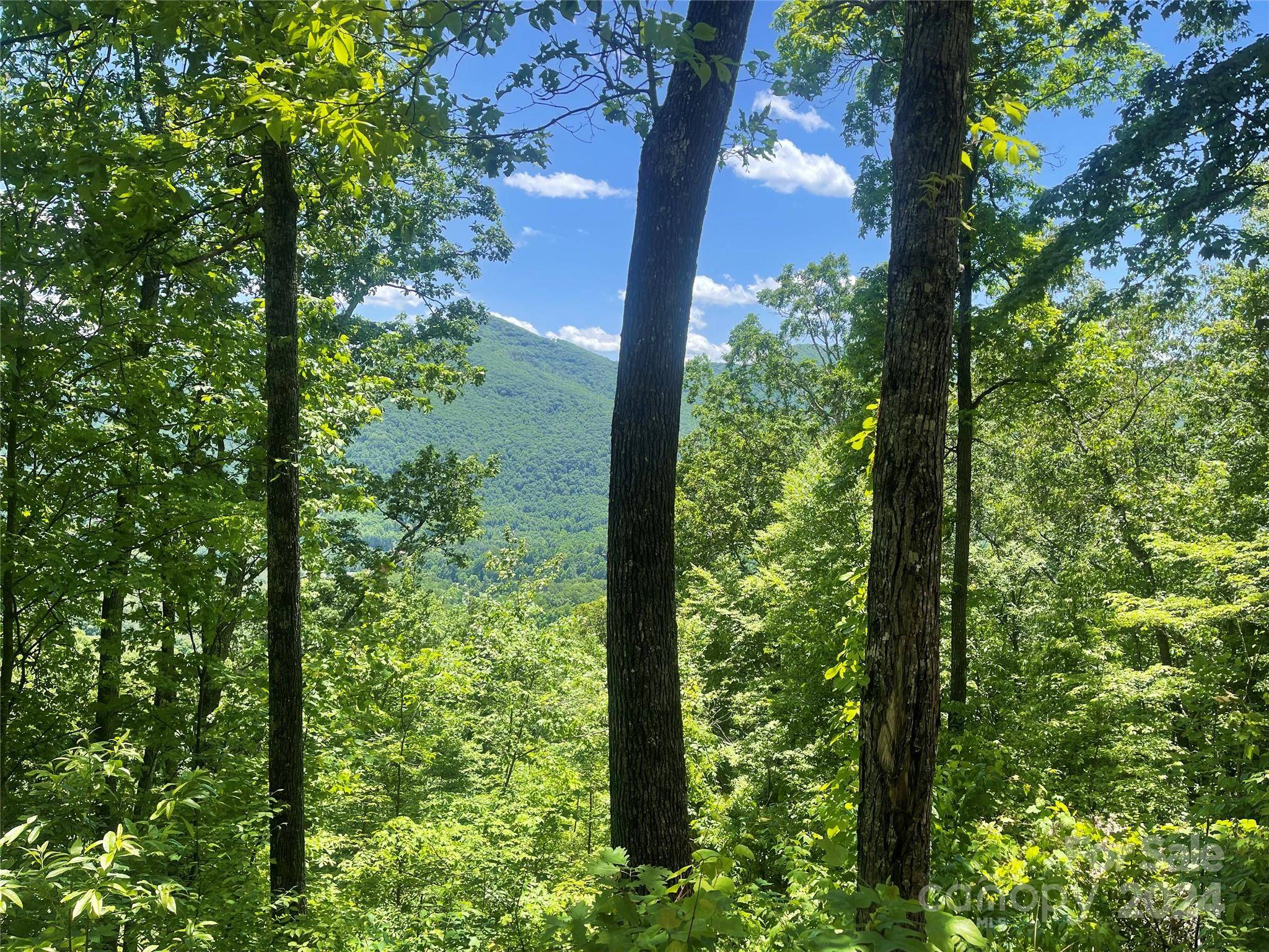 Maggie Valley, NC 28751,Lot 9 Big Boulder RDG