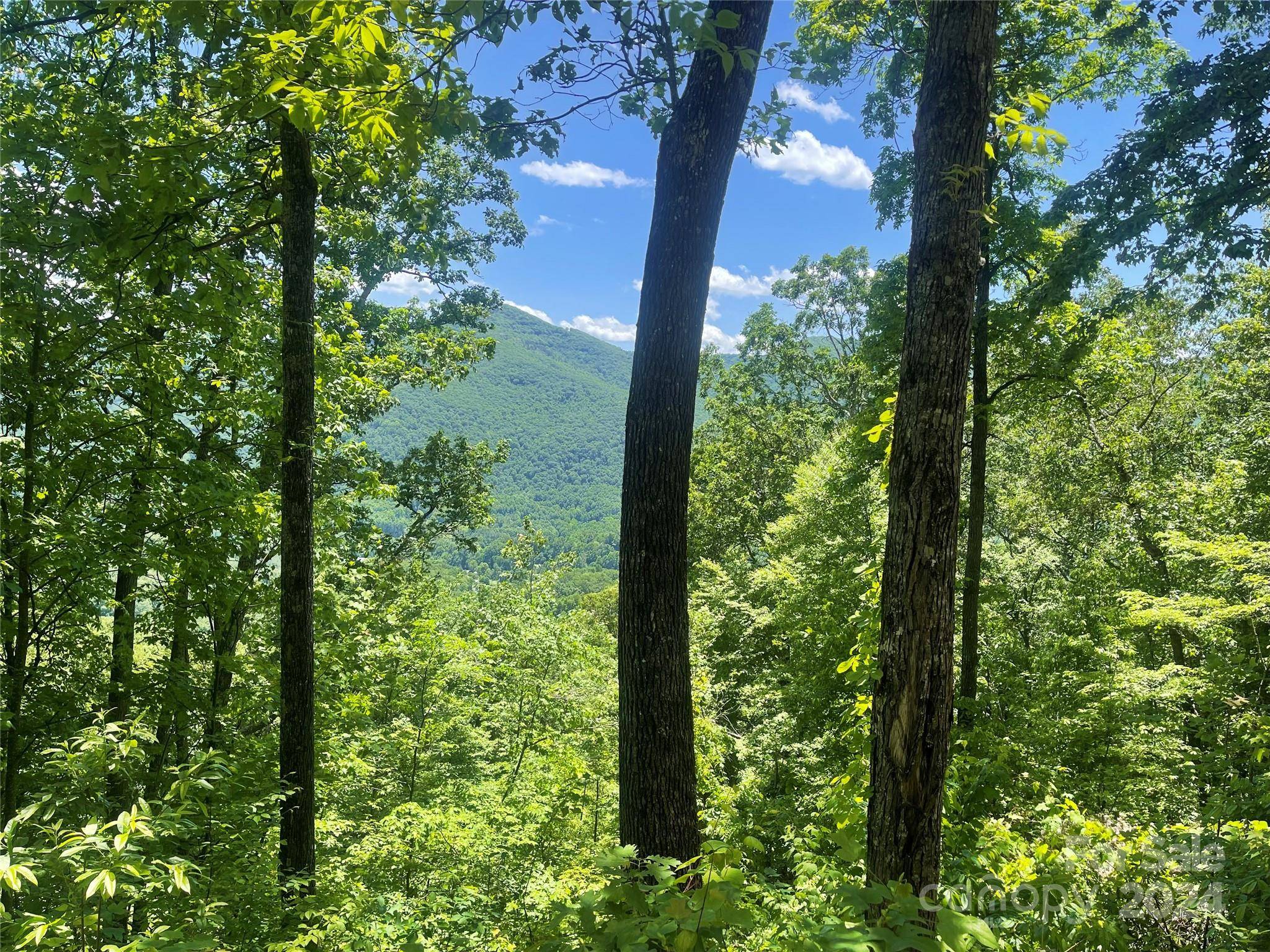 Maggie Valley, NC 28751,Lot 9 Big Boulder RDG