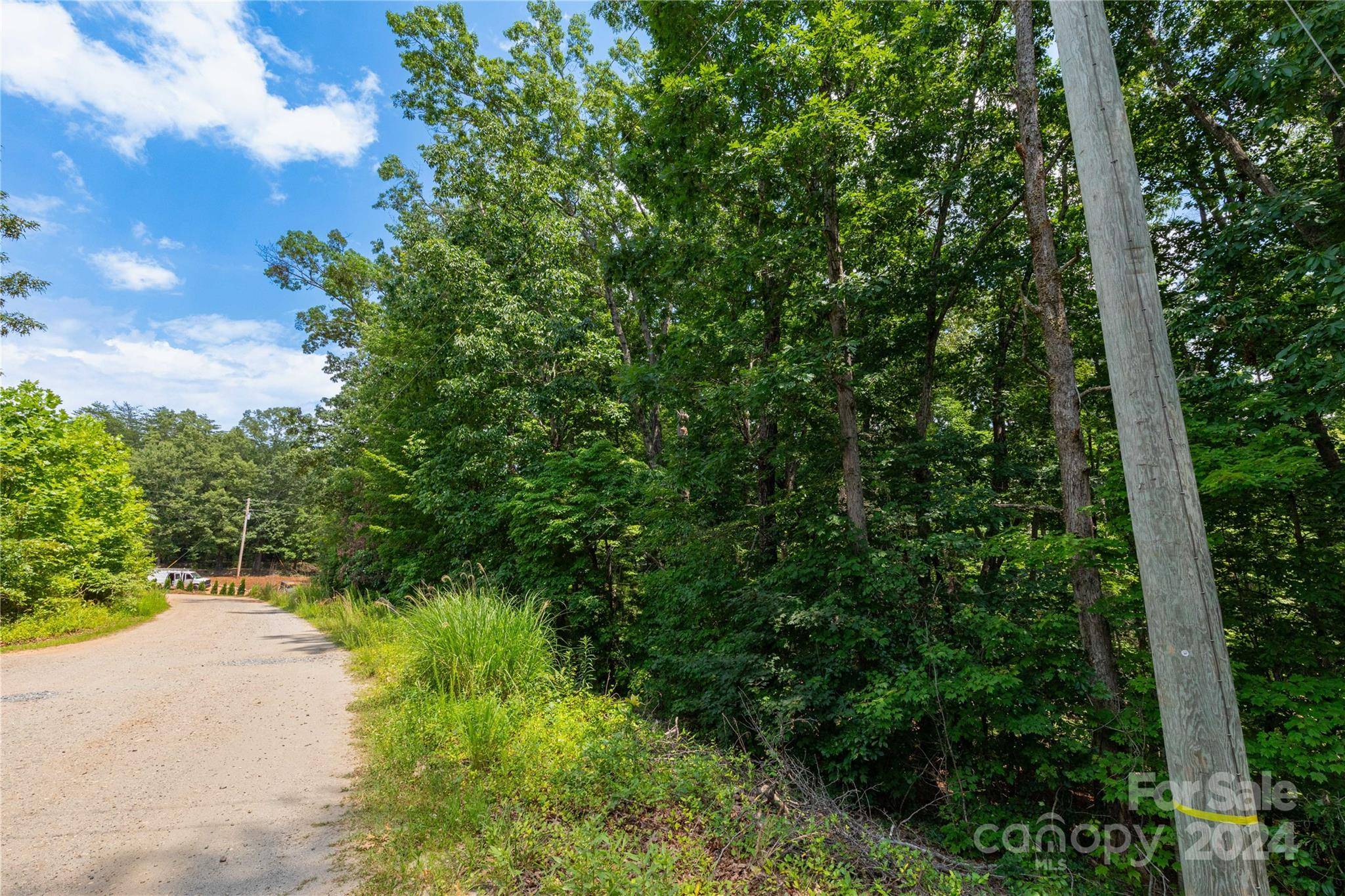 Mill Spring, NC 28756,00000 Horse Creek DR