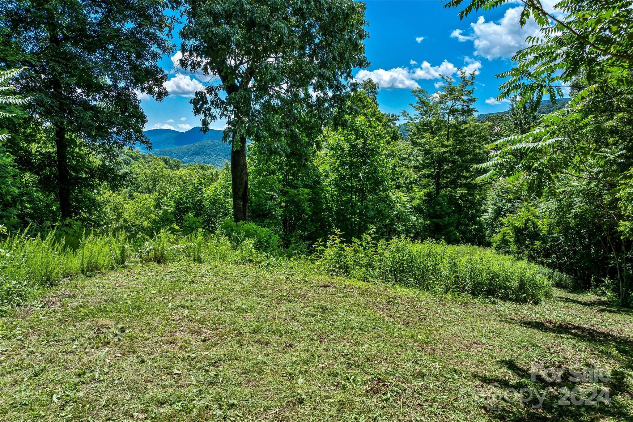 Black Mountain, NC 28711,TBD Kestrel LN #T-75