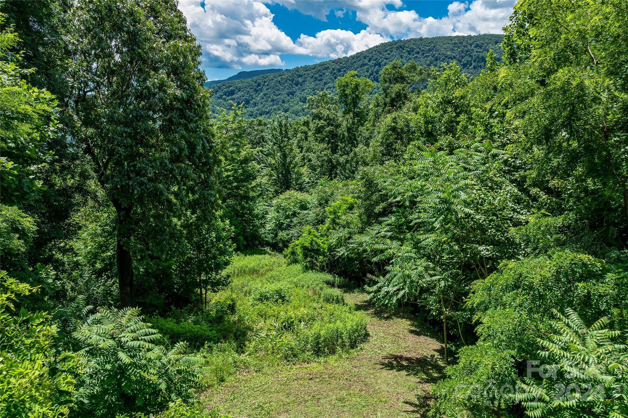 Black Mountain, NC 28711,TBD Kestrel LN #T-75