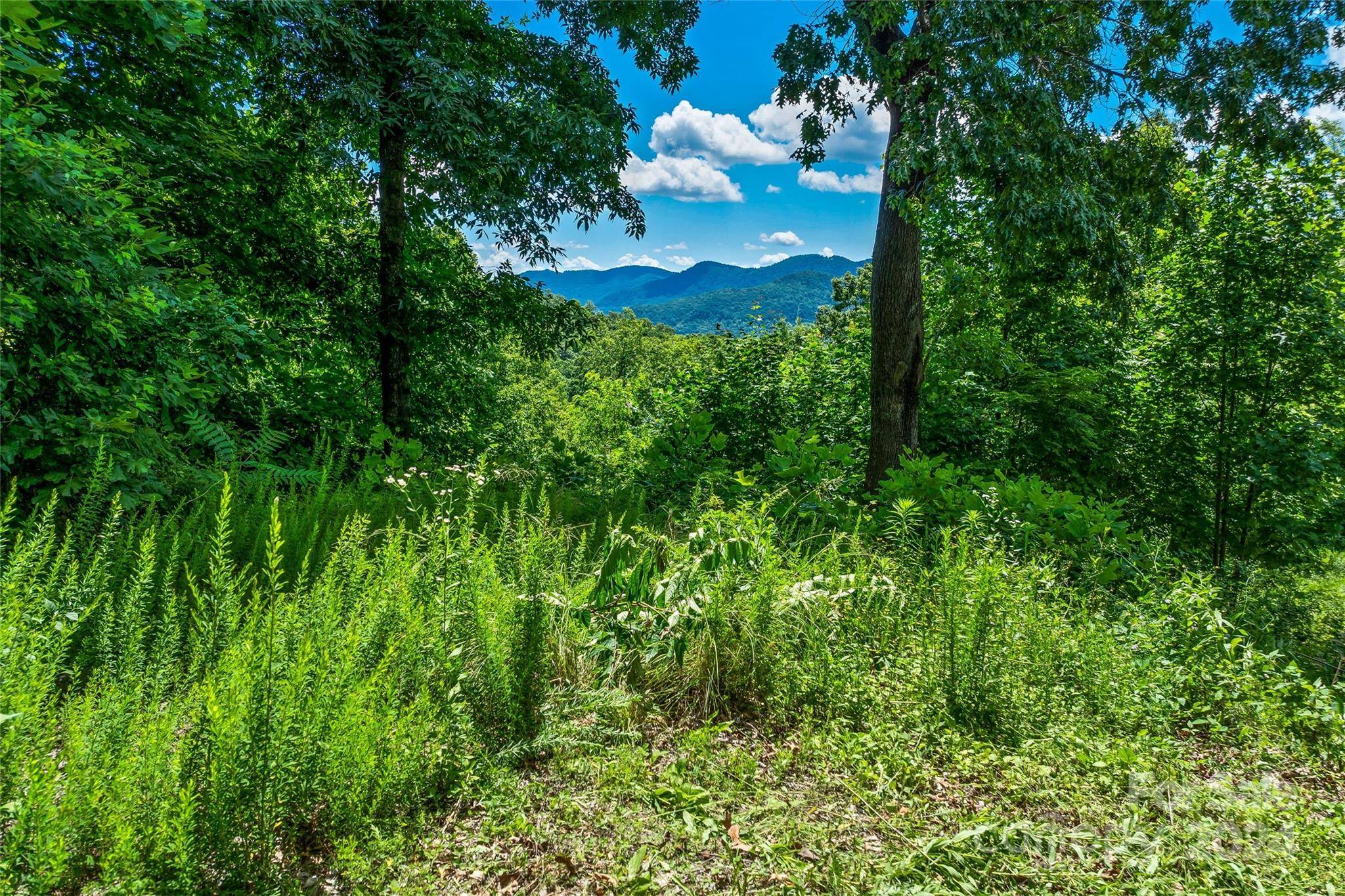 Black Mountain, NC 28711,TBD Kestrel LN #T-75