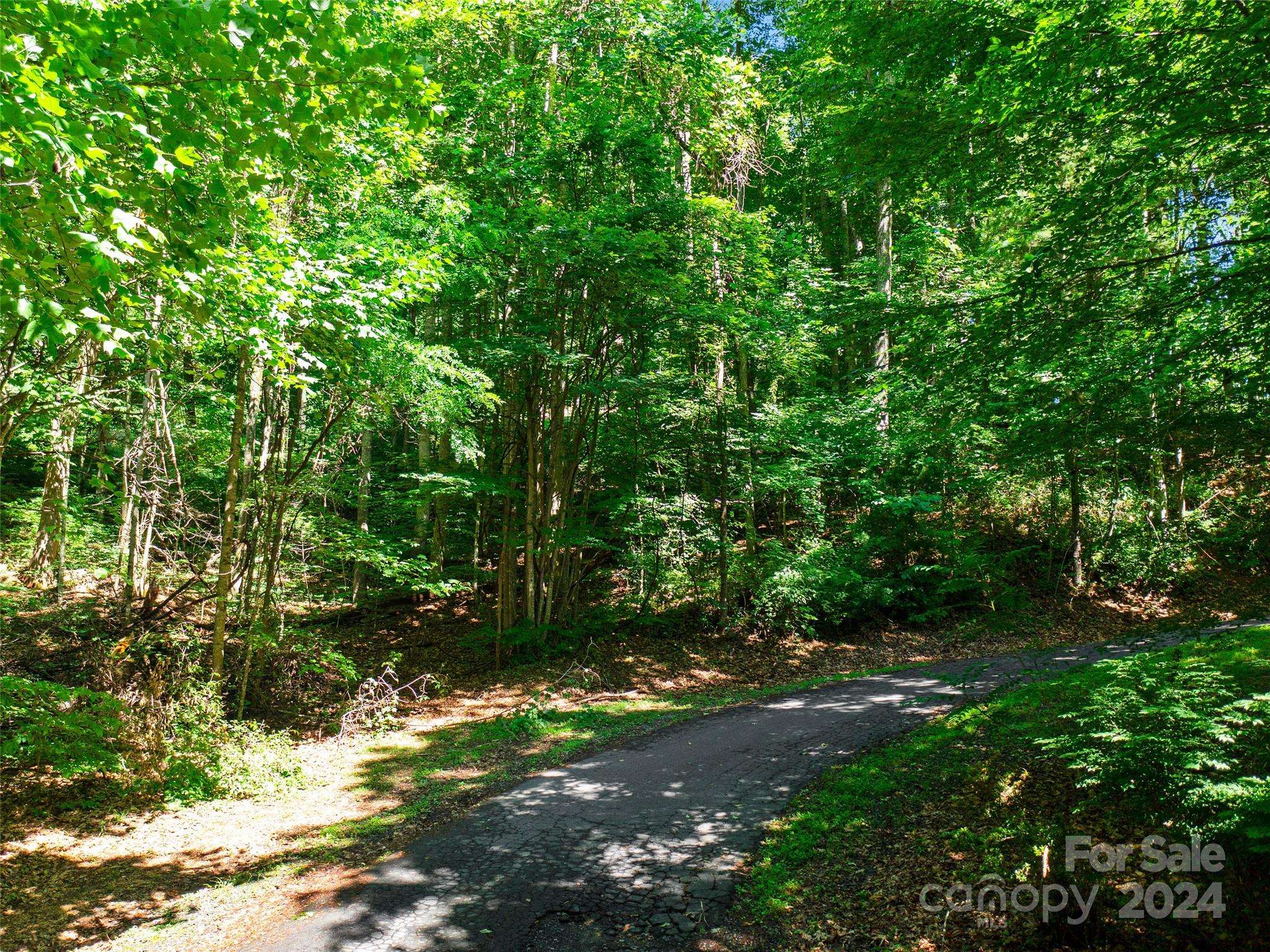 Burnsville, NC 28714,000 Lake Park DR #Lot 10