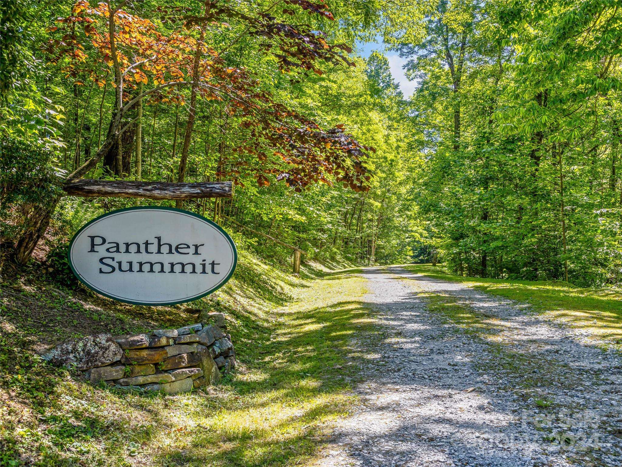 Lake Toxaway, NC 28747,PS 3 Panther Summit DR