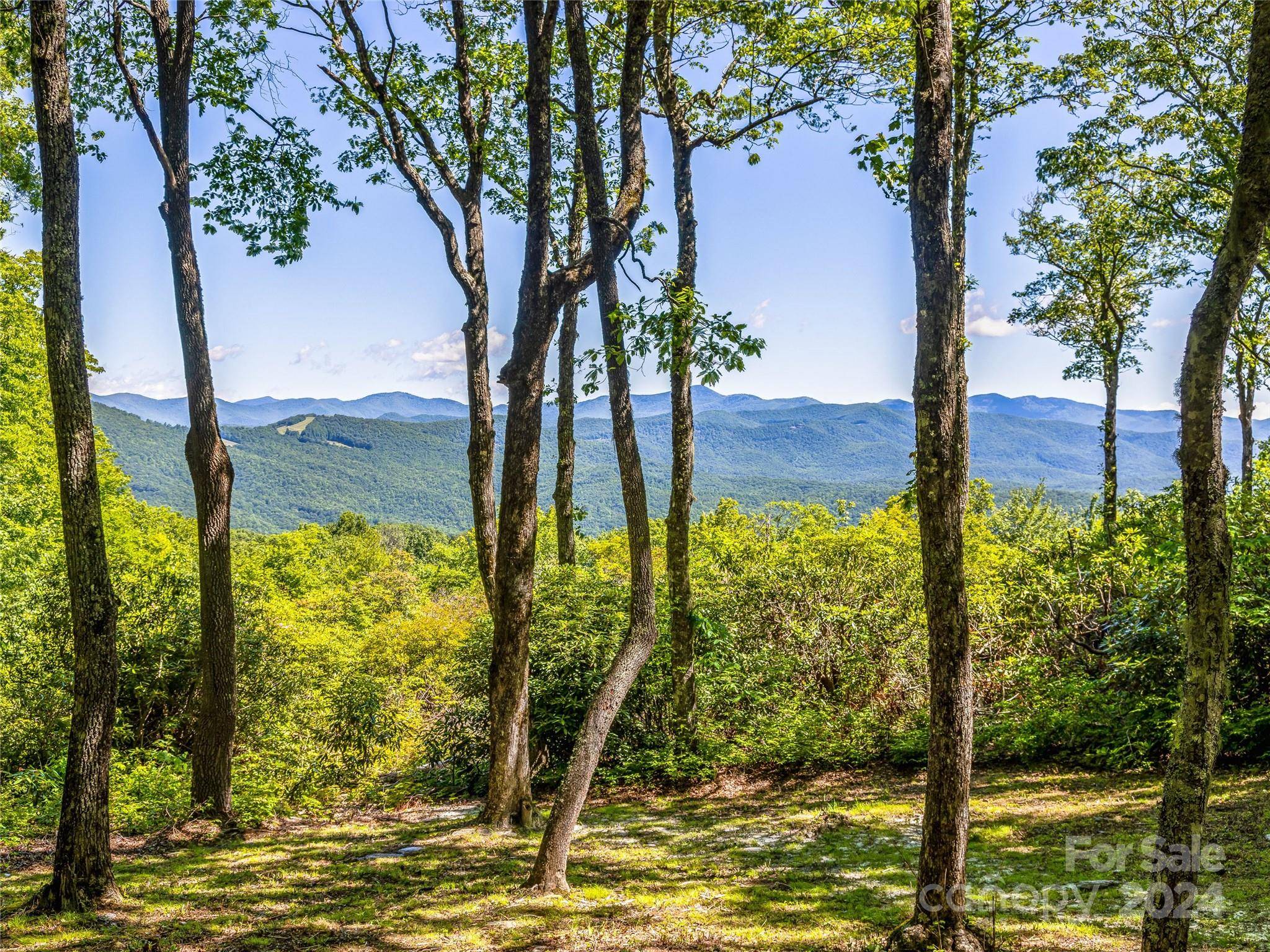 Lake Toxaway, NC 28747,PS 3 Panther Summit DR