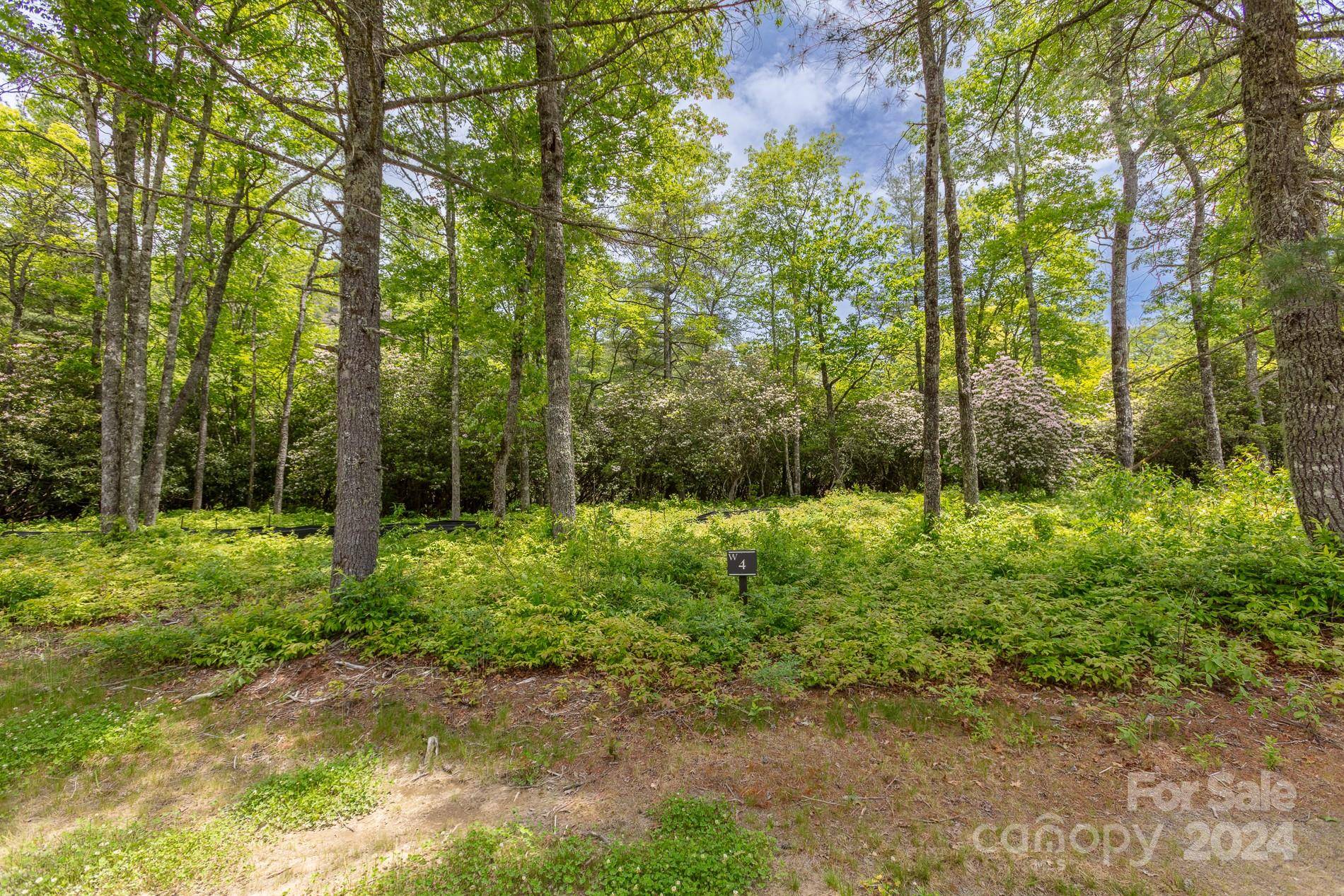 Glenville, NC 28736,Lot W4 Watersound TRL