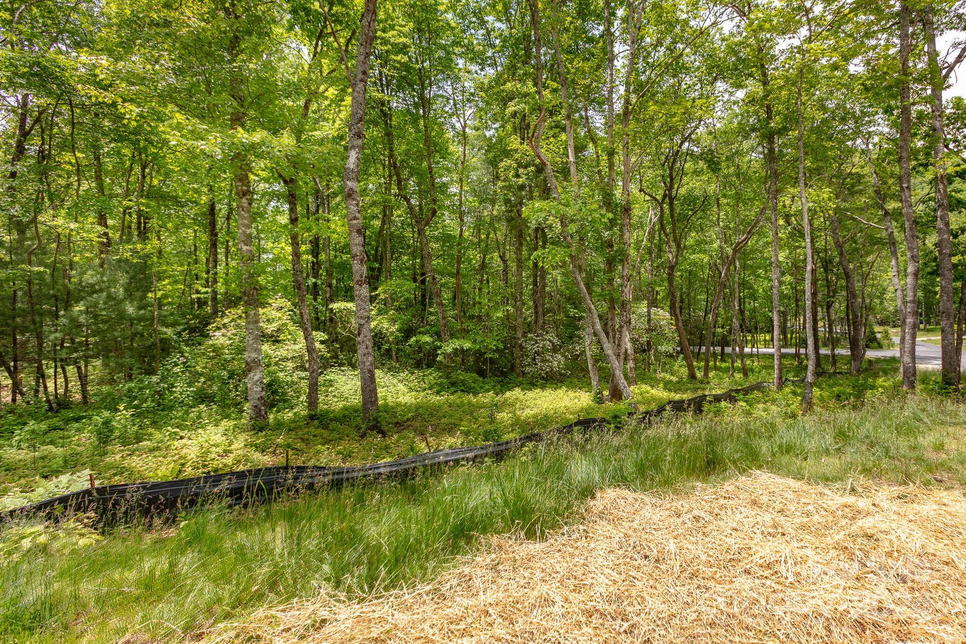 Glenville, NC 28736,Lot W25 Tioga TRL