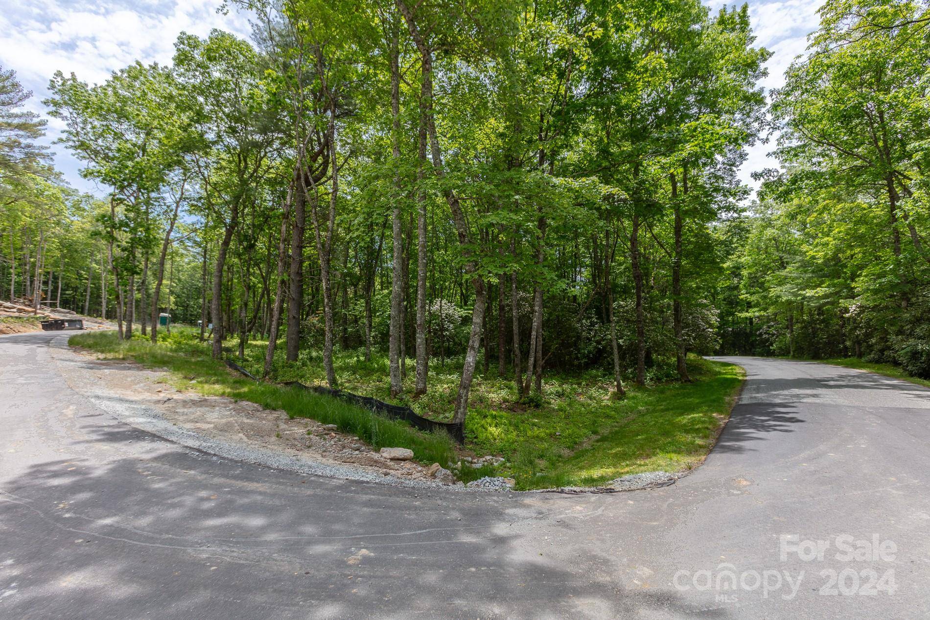 Glenville, NC 28736,Lot W25 Tioga TRL