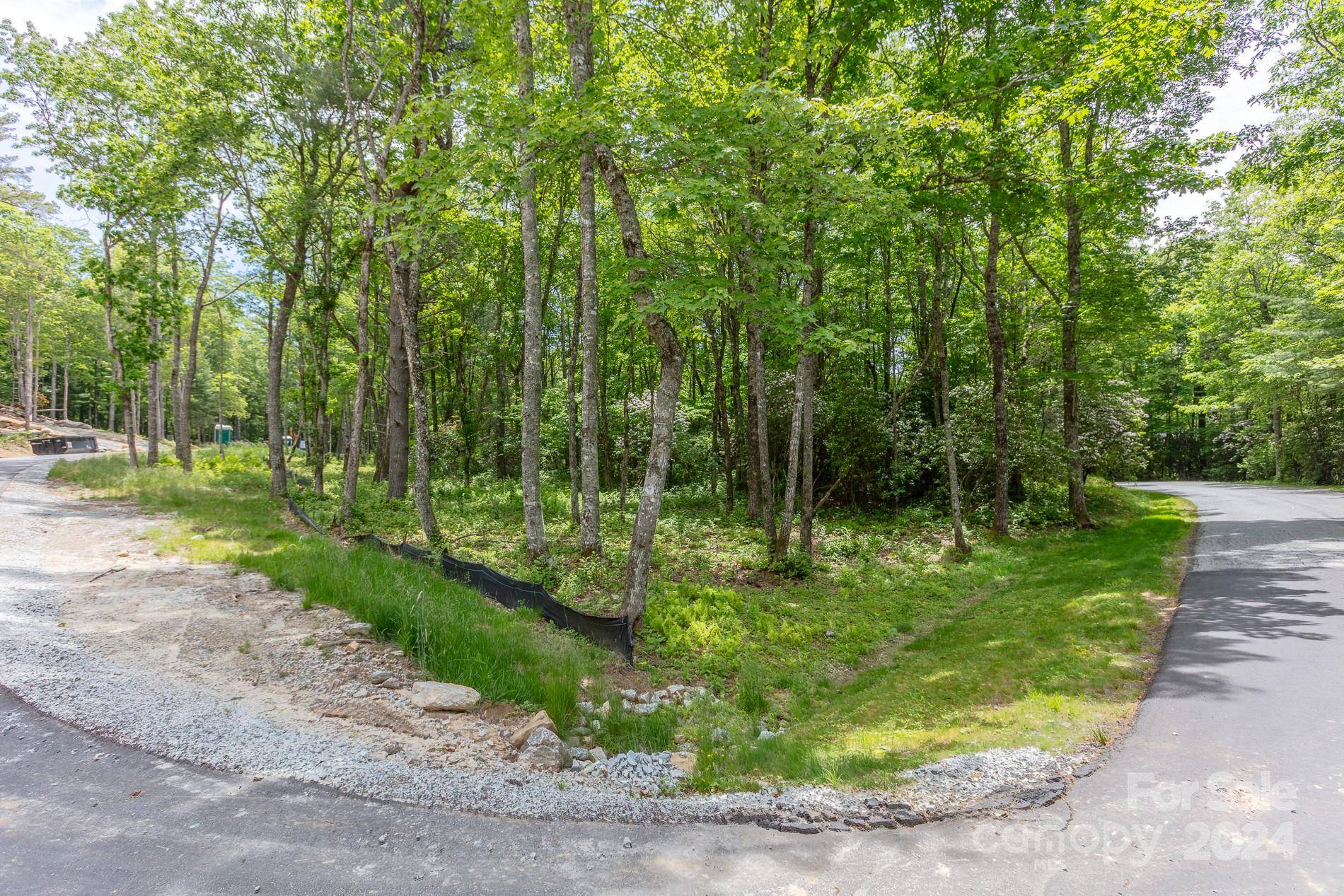 Glenville, NC 28736,Lot W25 Tioga TRL