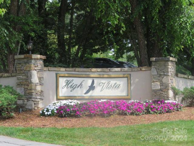 Mills River, NC 28759,TBD High Vista DR #Lot 165