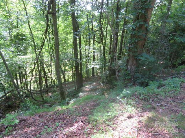 Mills River, NC 28759,TBD High Vista DR #Lot 165