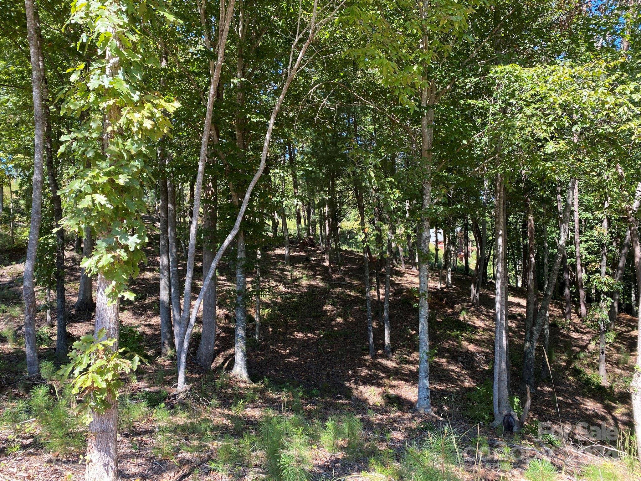 Granite Falls, NC 28630,Lot 93 Leeward LN #93