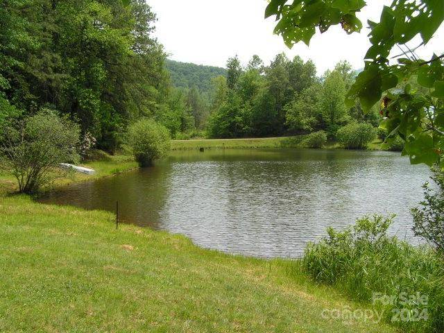 Franklin, NC 28734,0 Crestline DR