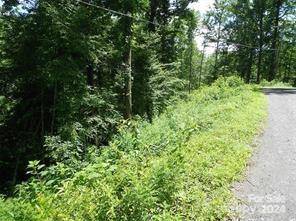 Franklin, NC 28734,Lot 30 Coon Creek RD #30