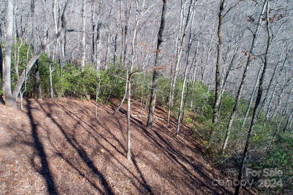 Tuckasegee, NC 28783,140 Birdymay DR #Lot 140