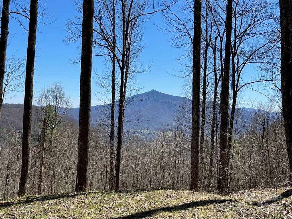 Burnsville, NC 28714,00000 Shoal Creek RD