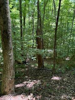 Tryon, NC 28782,0 Cherokee CIR #LOT 11