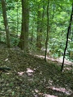 Tryon, NC 28782,0 Cherokee CIR #LOT 11