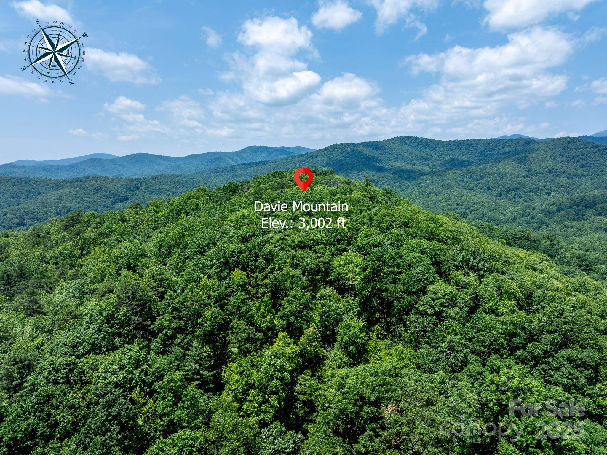 Horse Shoe, NC 28742,999 Davey Branch RD