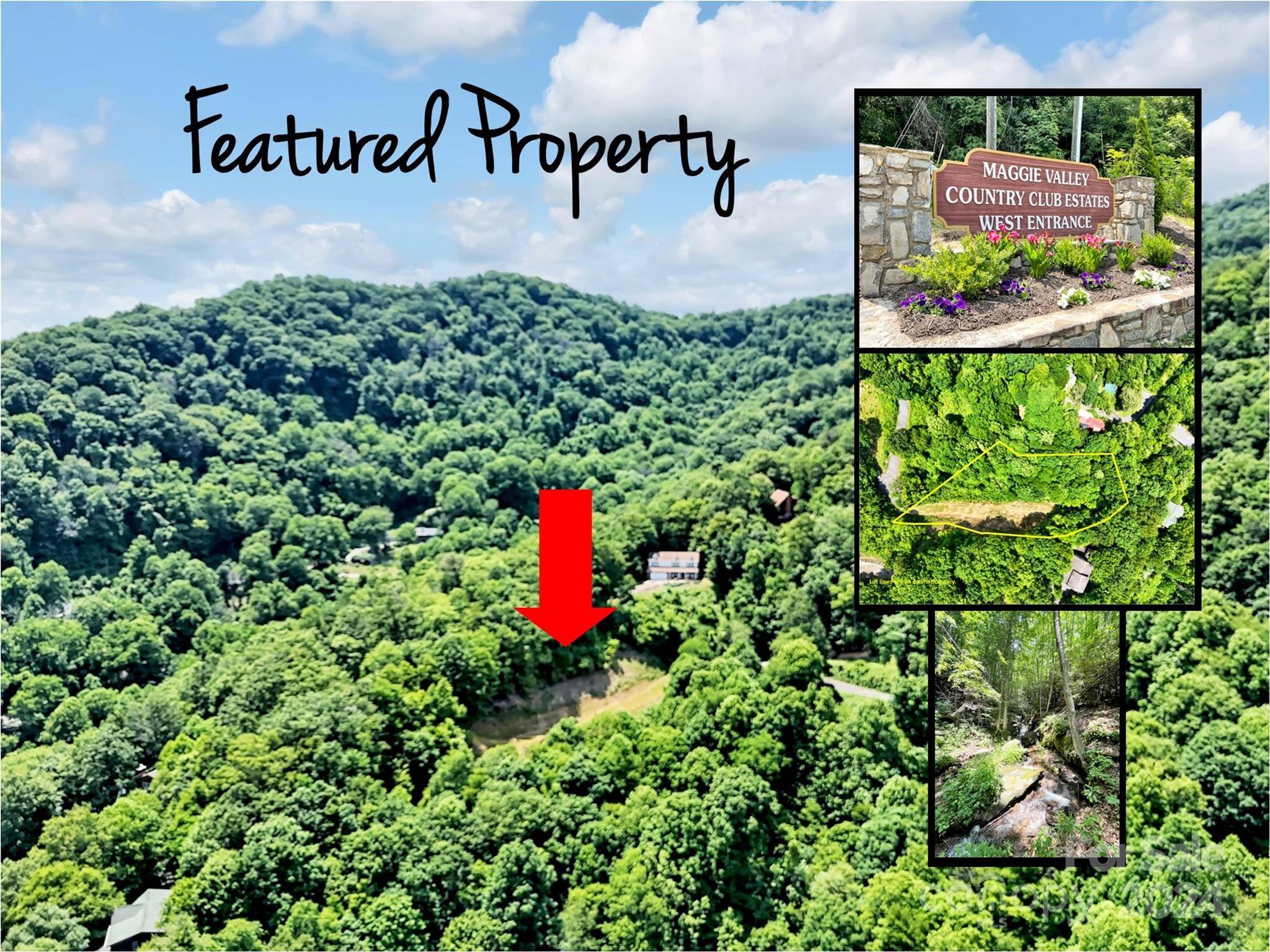 Maggie Valley, NC 28751,391 Valley View DR