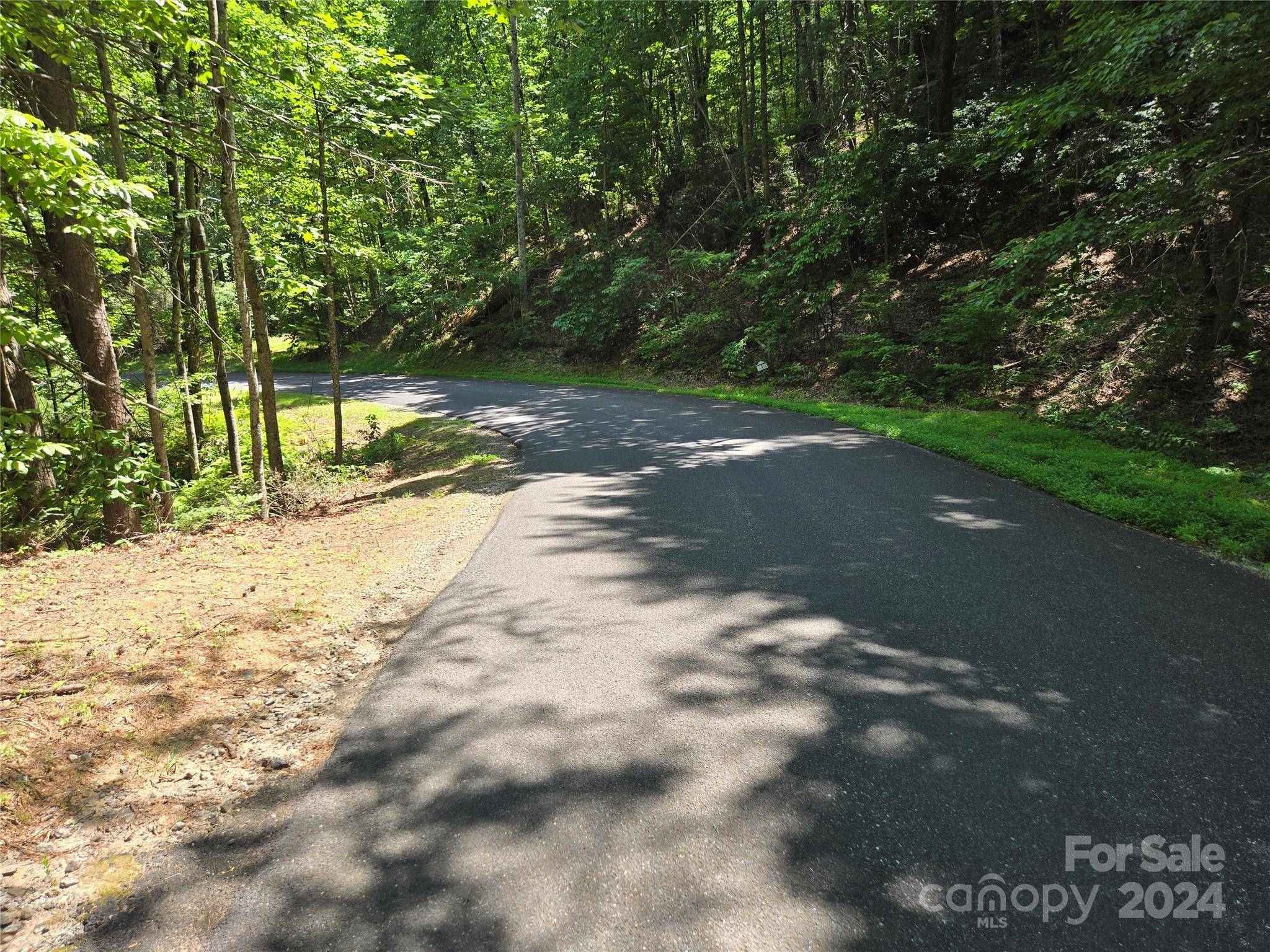 Lake Lure, NC 28746,Lot 212 Quail Ridge RD