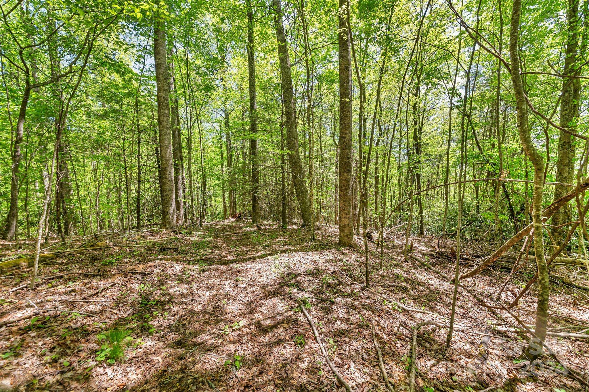 Spruce Pine, NC 28777,9999 Gouges Creek RD