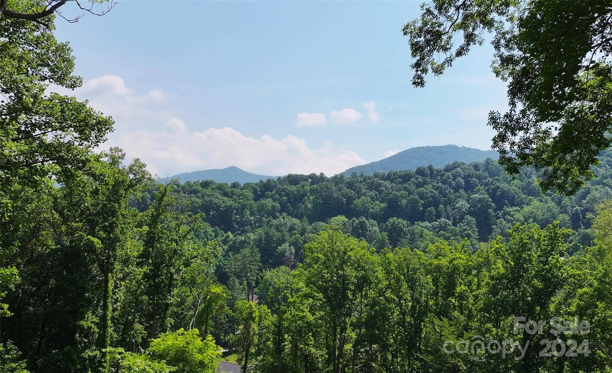 Asheville, NC 28804,74 Longspur LN #62R