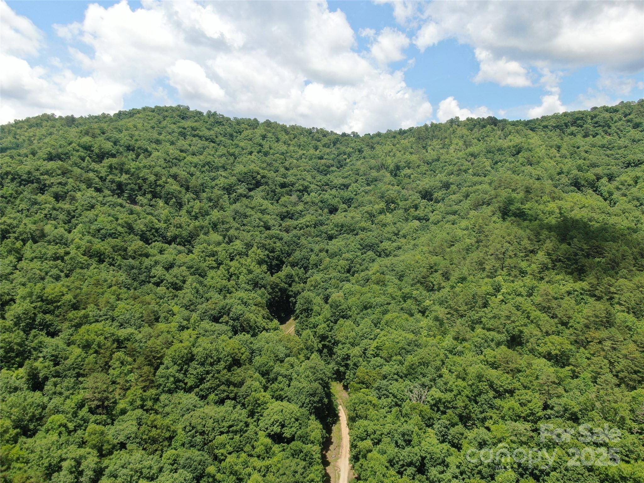 Bryson City, NC 28713,80 Breezewood DR