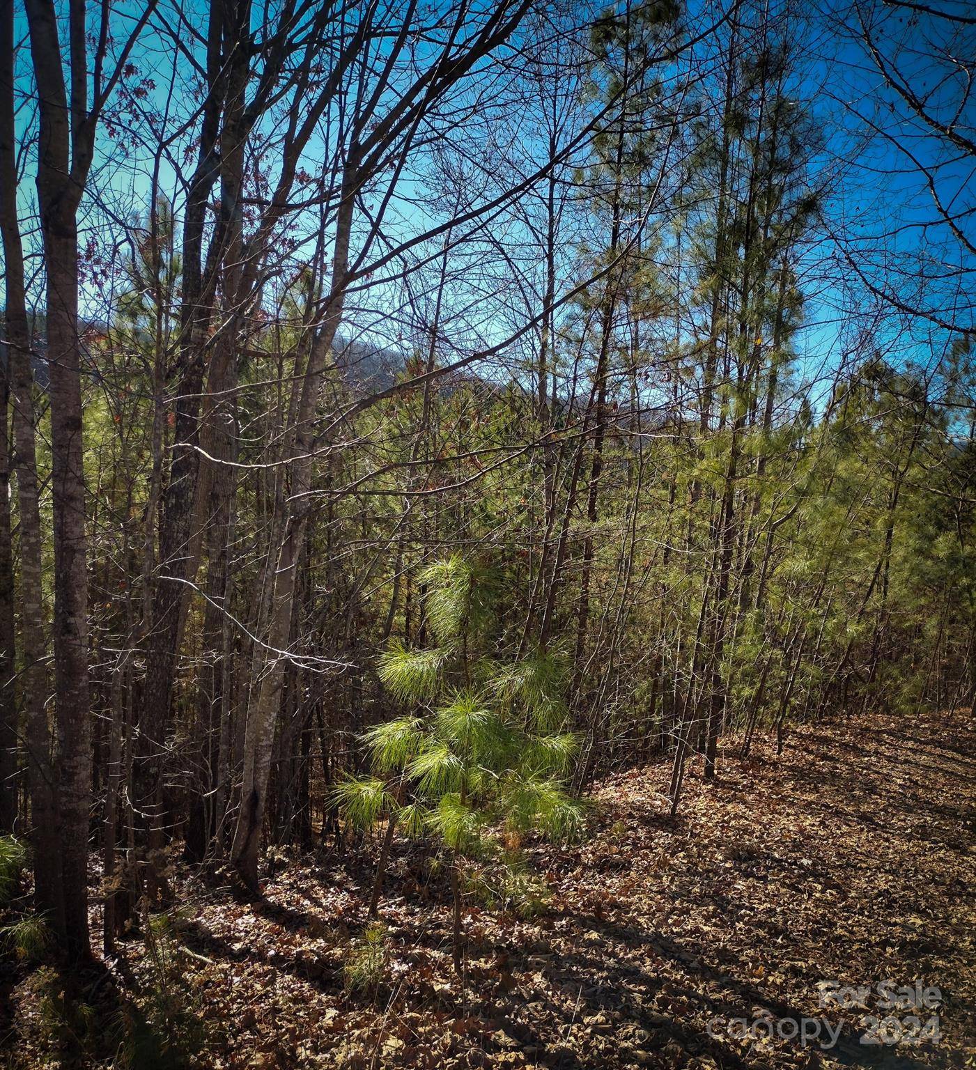 Nebo, NC 28761,TBD Pine Needle LN