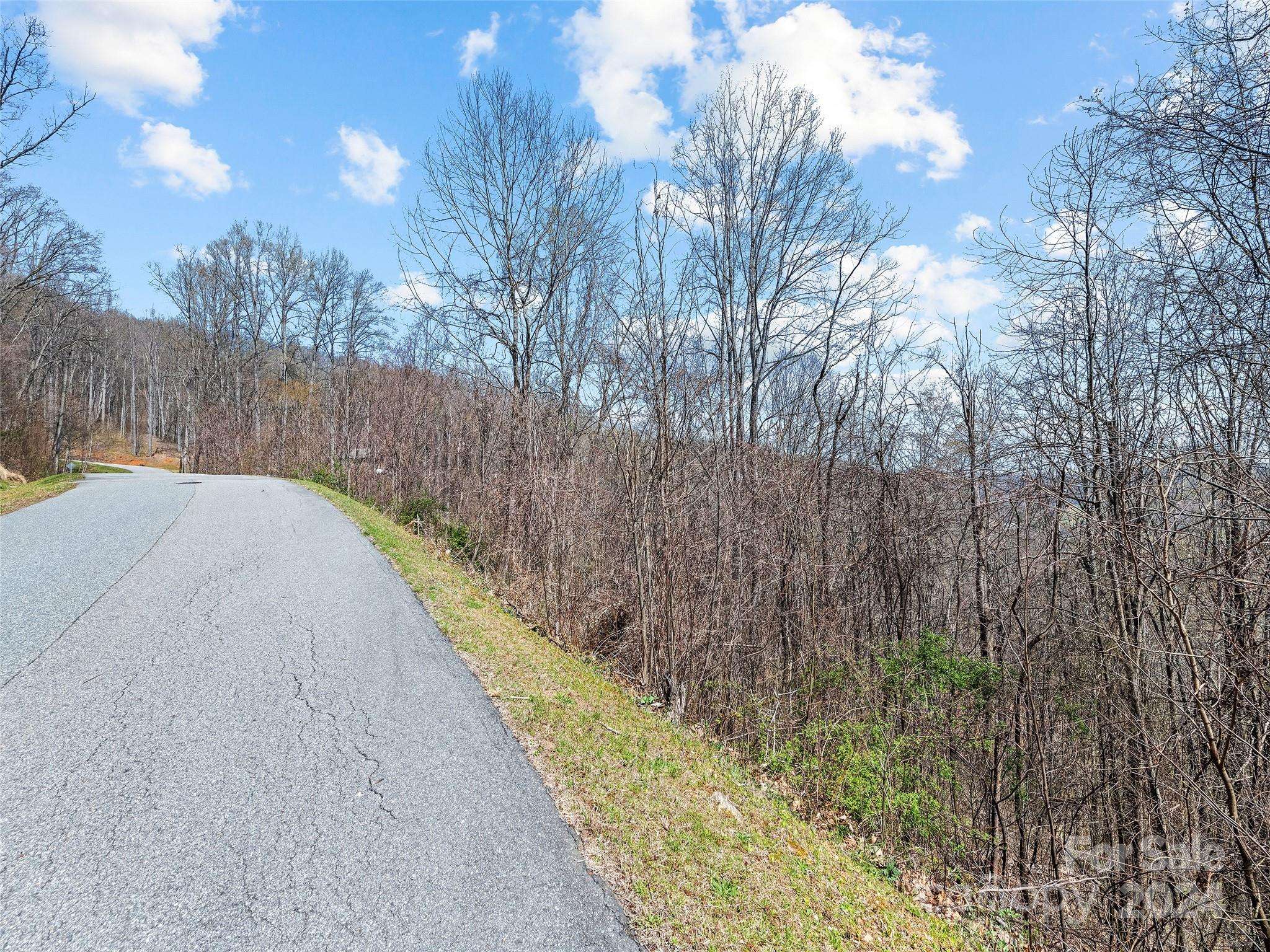 Waynesville, NC 28785,Lot 4 Mountain Watch DR #4