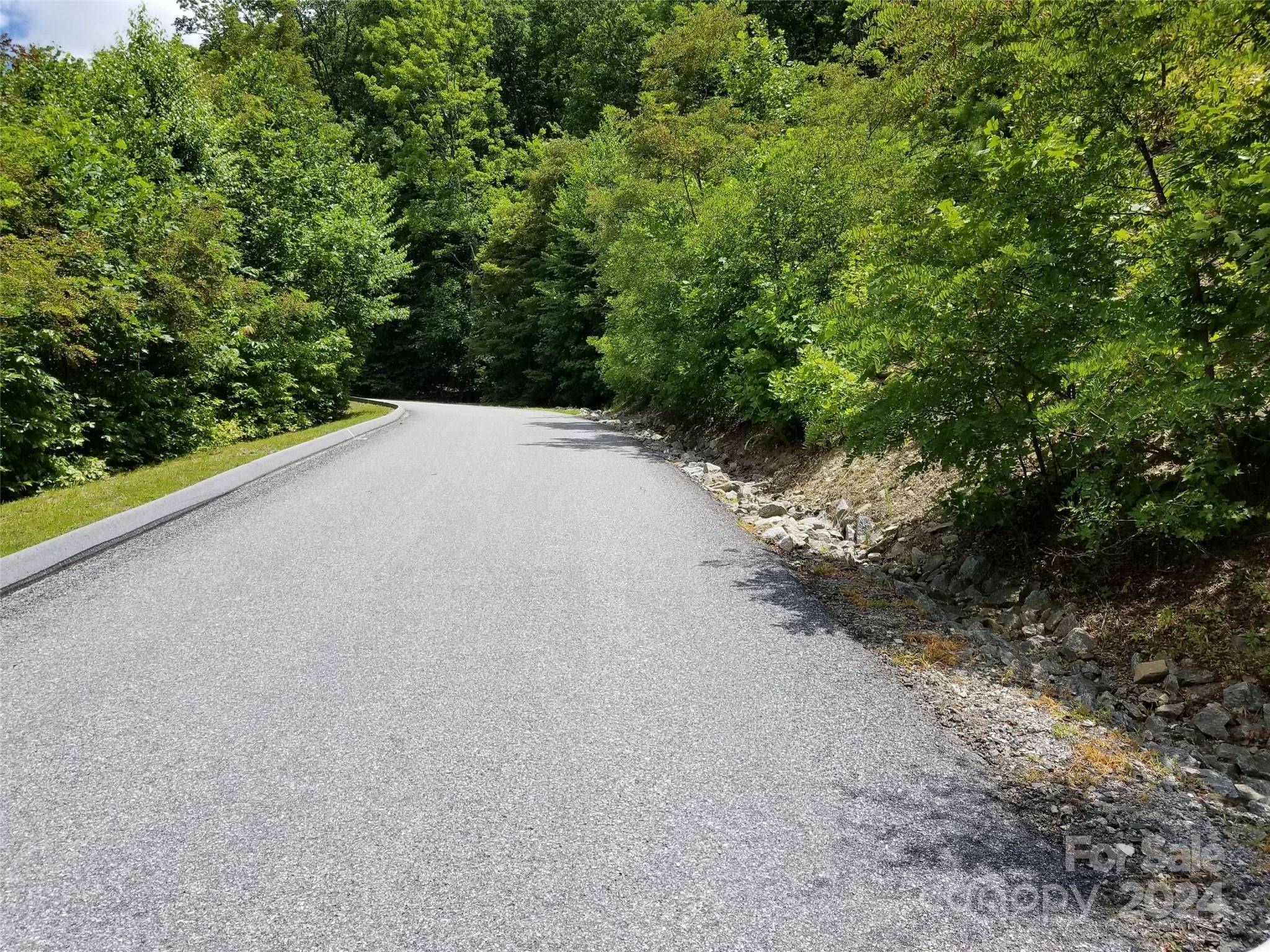 Arden, NC 28704,567 Blue Mist WAY