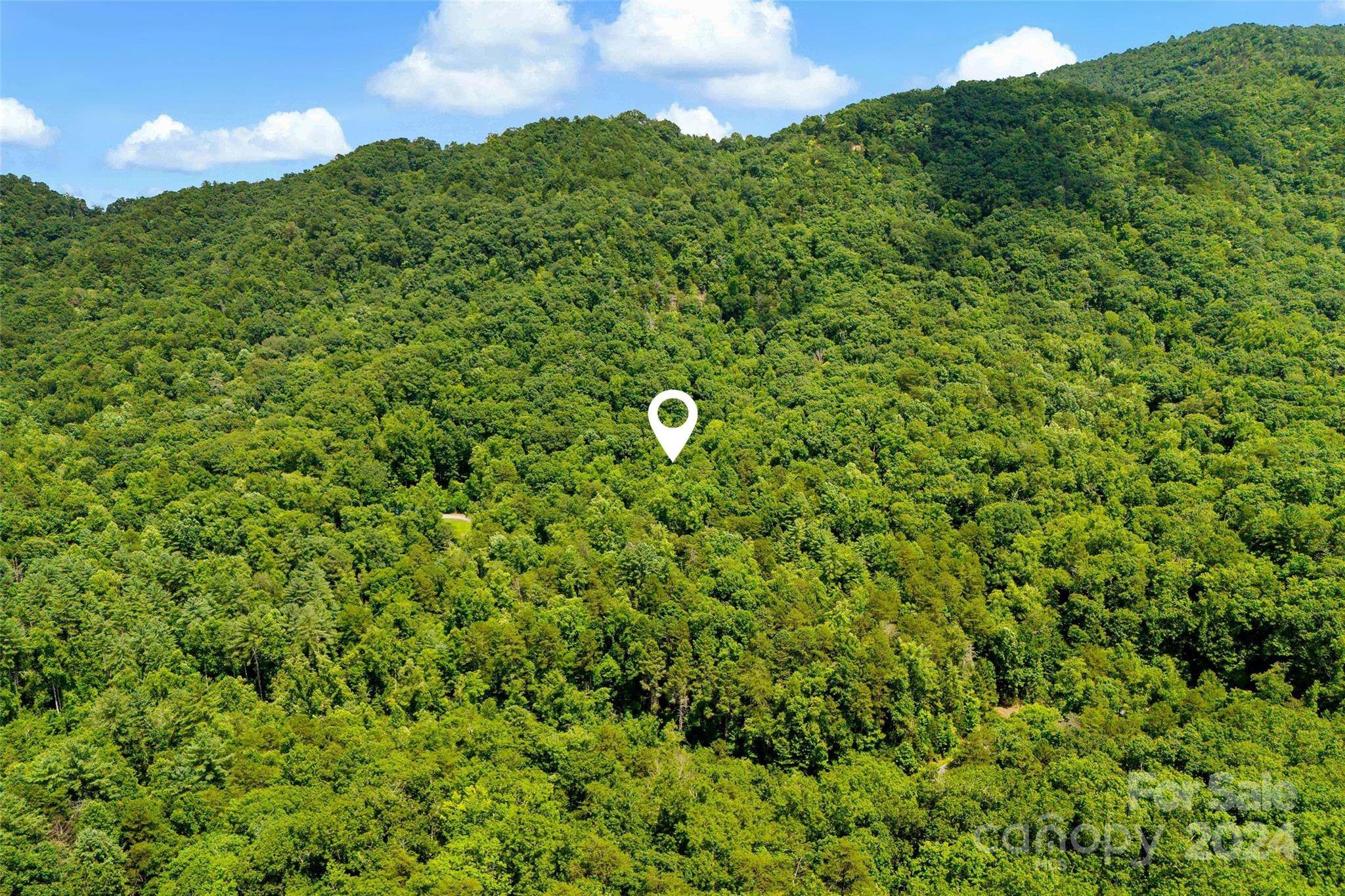 Lake Lure, NC 28746,0 Buffalo Creek RD #0