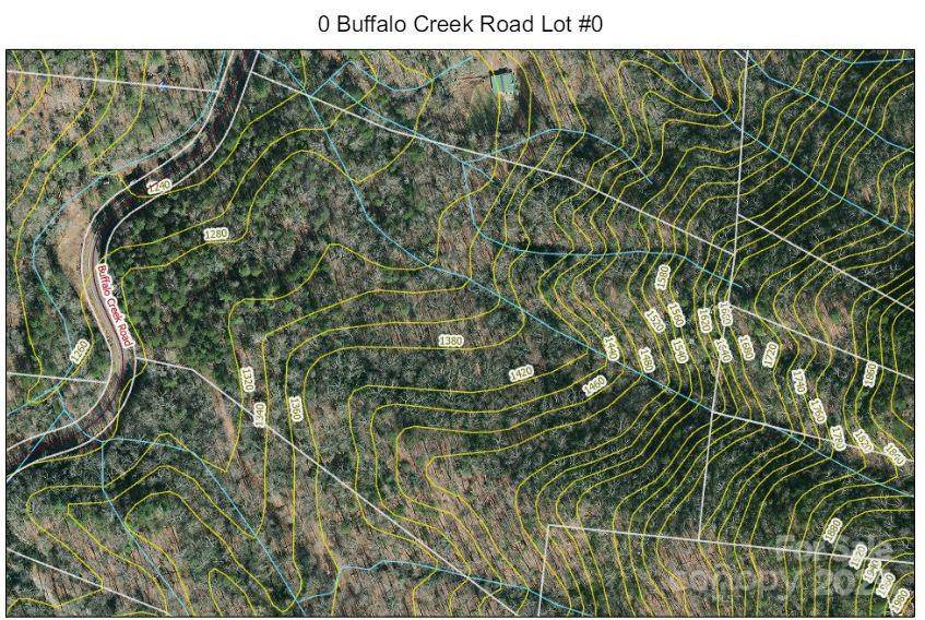 Lake Lure, NC 28746,0 Buffalo Creek RD #0