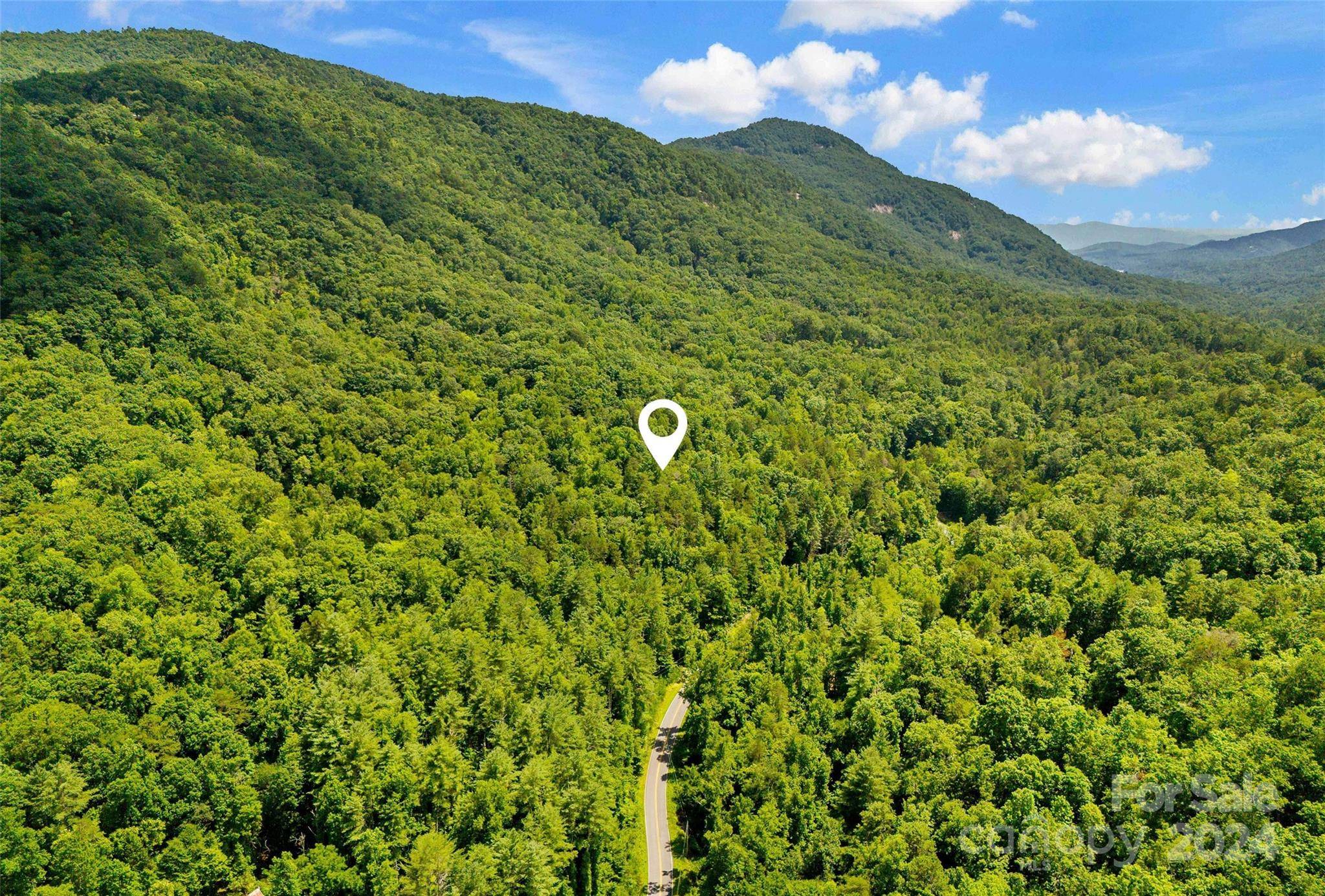 Lake Lure, NC 28746,0 Buffalo Creek RD #0