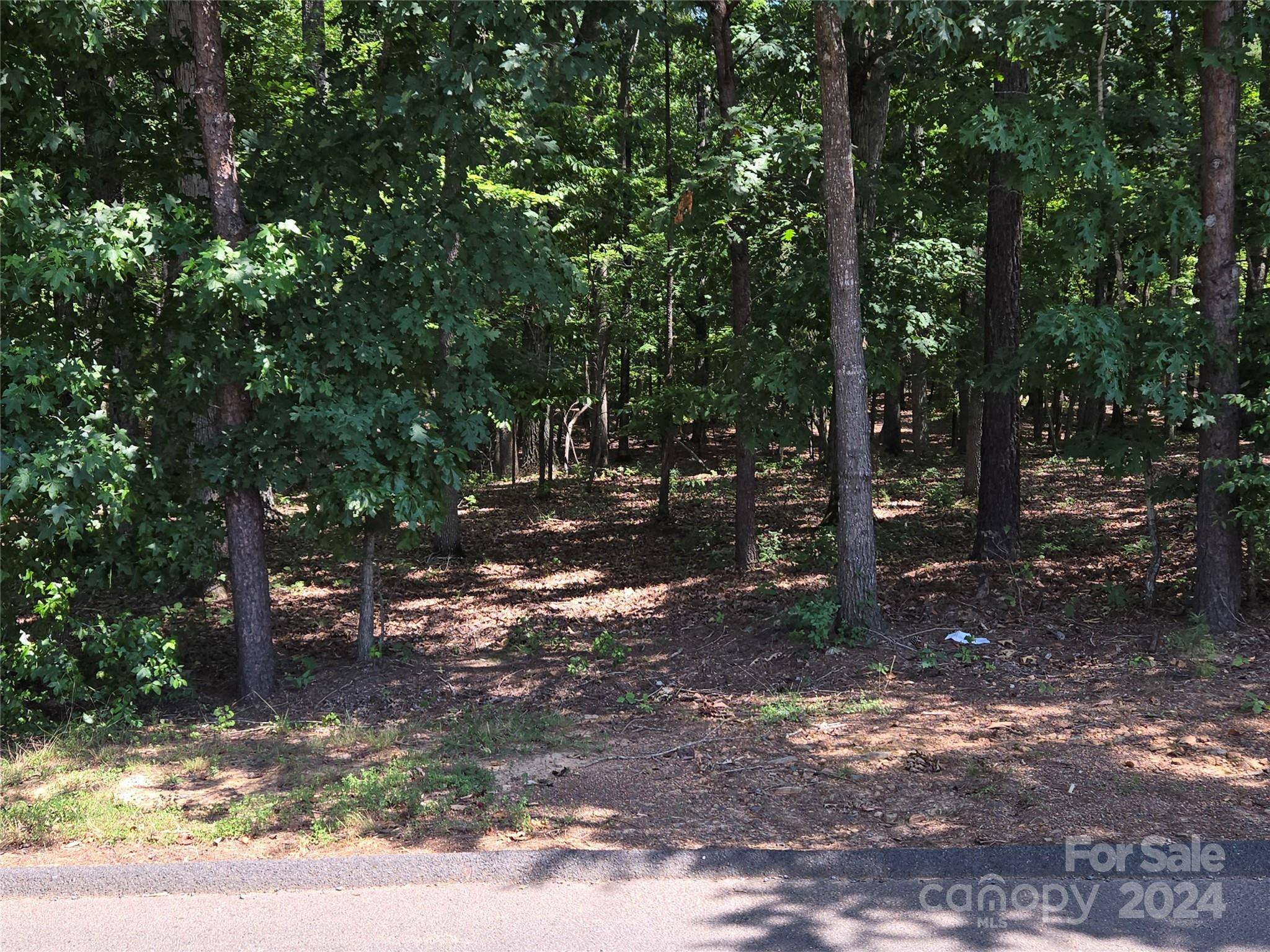 Badin Lake, NC 28127,188 Badin Shores CIR