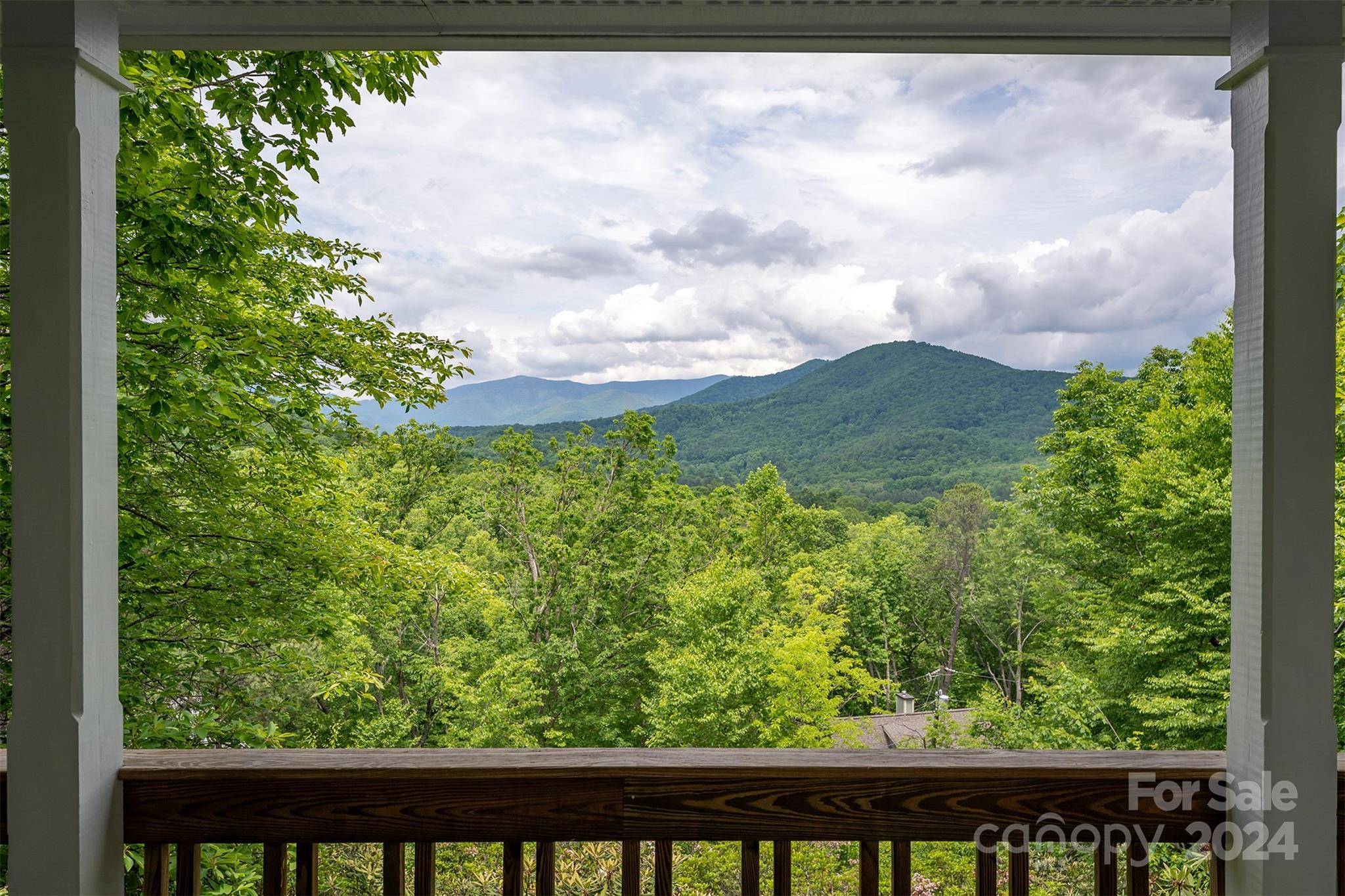 Black Mountain, NC 28711,189 Hilltop RD