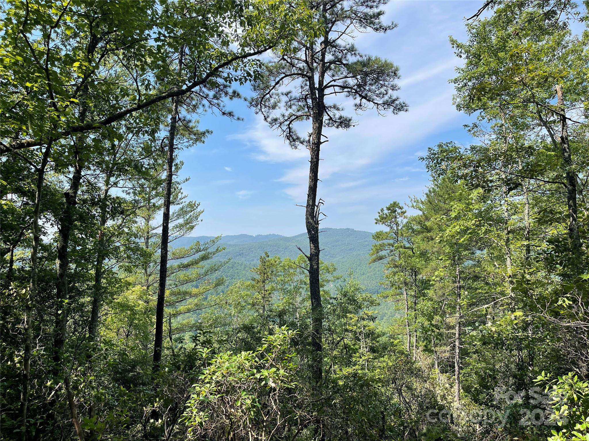 Penrose, NC 28766,TBD Morgan DR #Tract II