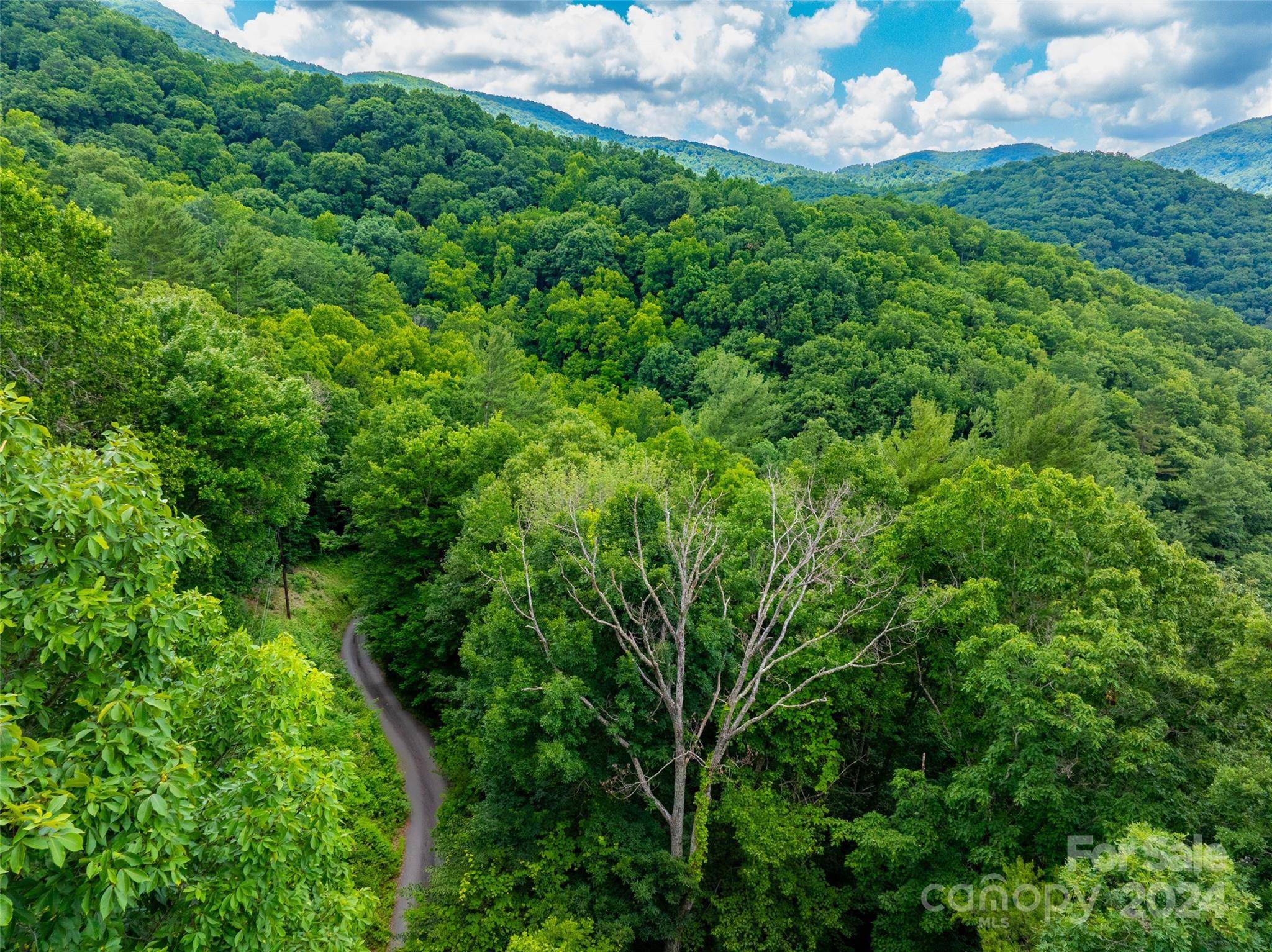 Swannanoa, NC 28778,99999 Solitude RDG