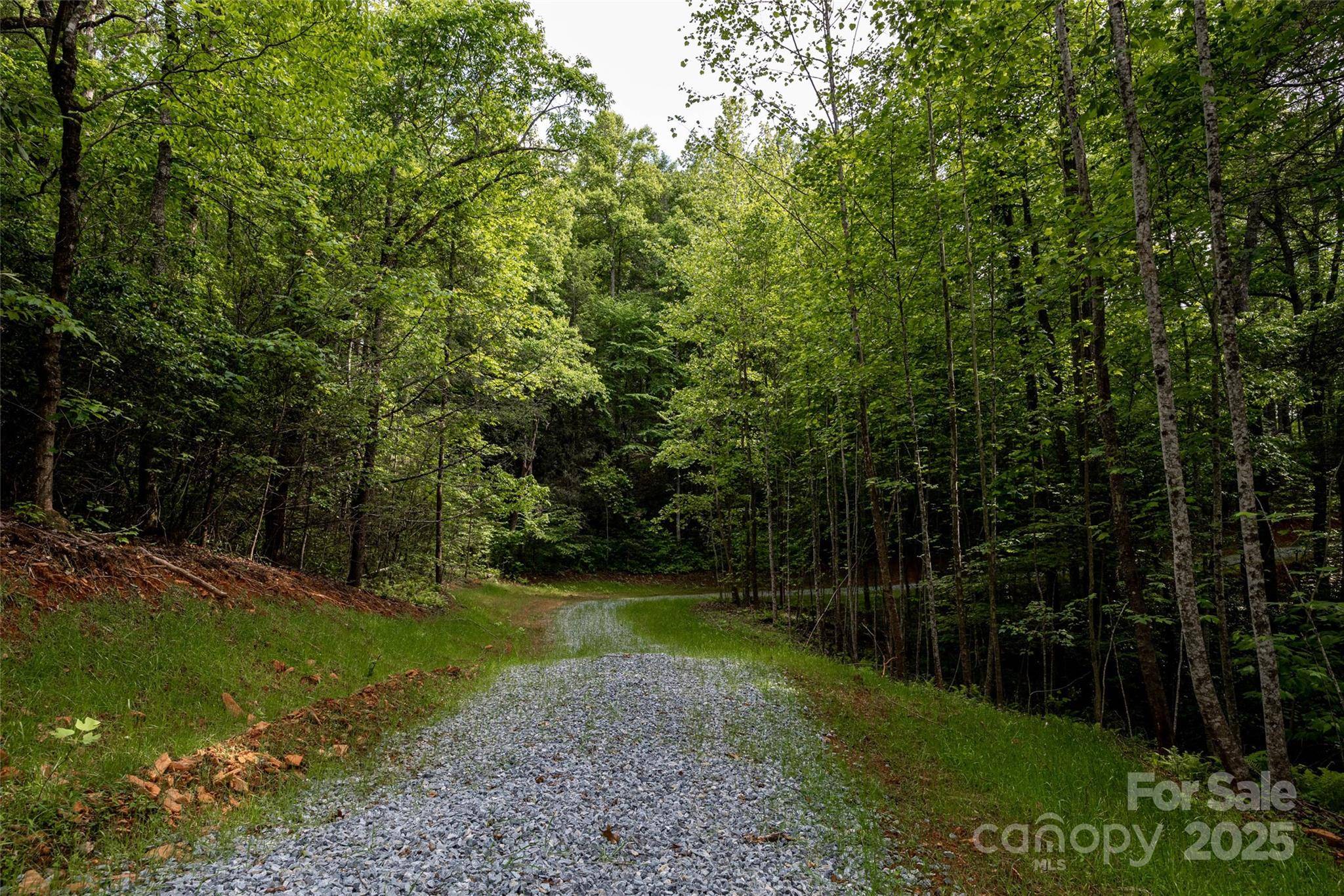 Old Fort, NC 28762,0 Lytle Mountain RD
