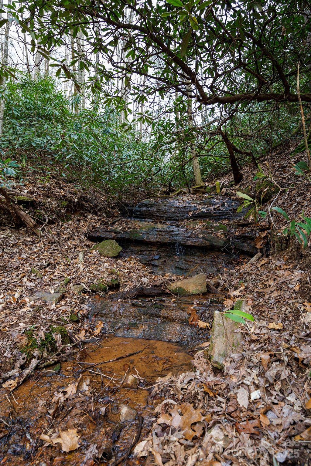 Old Fort, NC 28762,0 Lytle Mountain RD