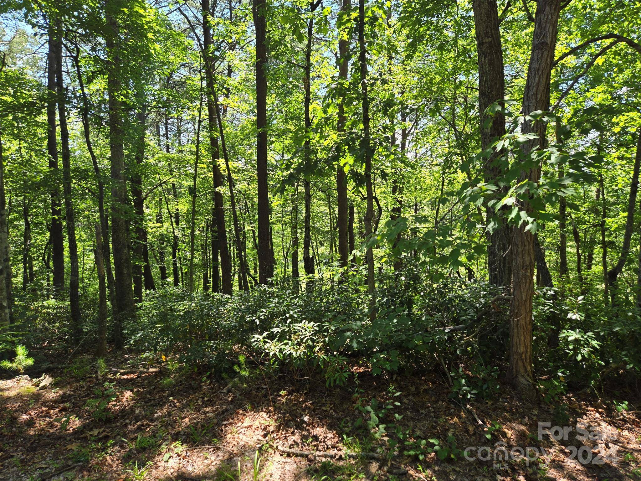 Lake Lure, NC 28746,Lot 33 Downing PL