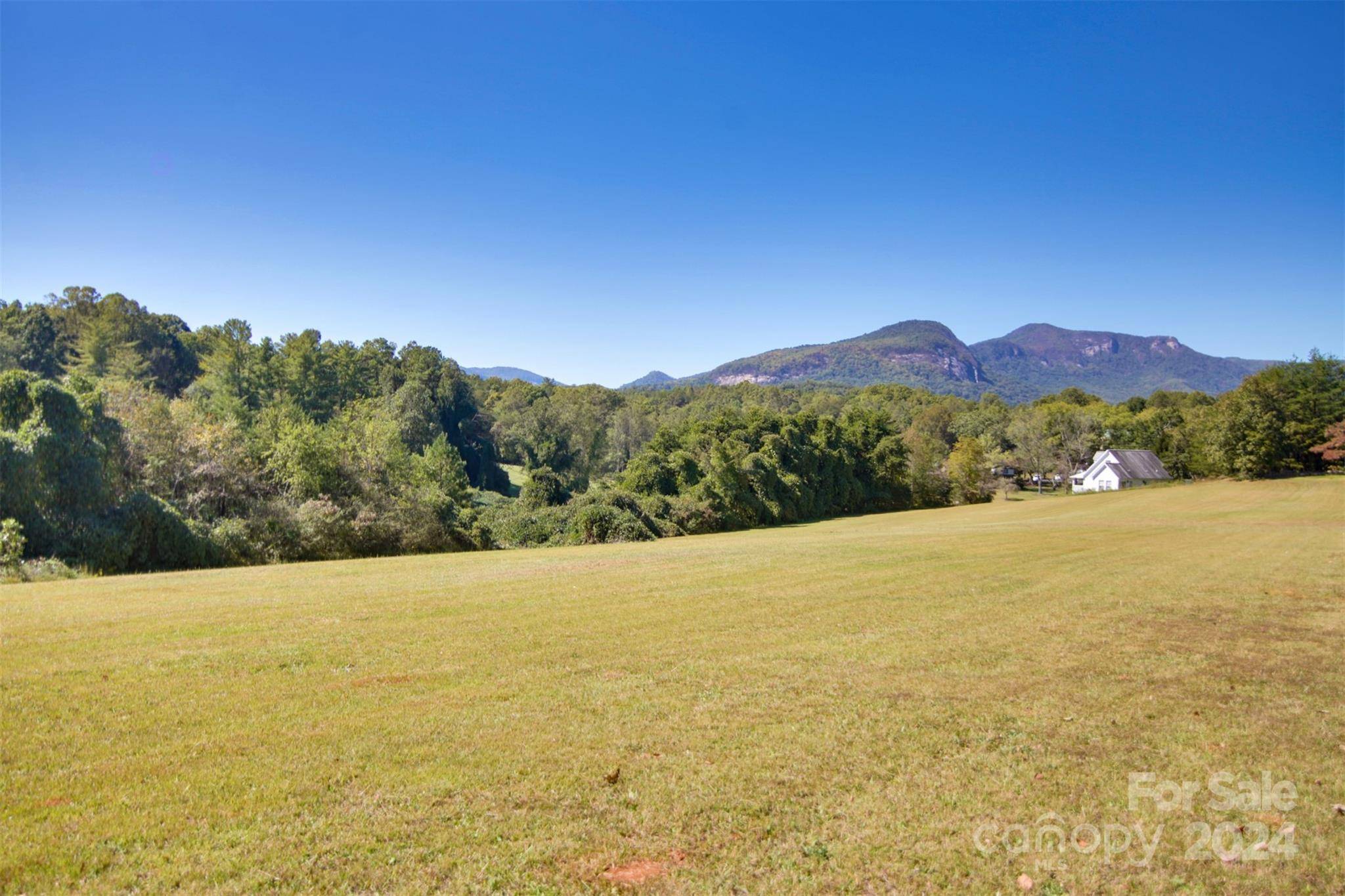 Lake Lure, NC 28746,Lot 13 Buffalo Creek RD #13