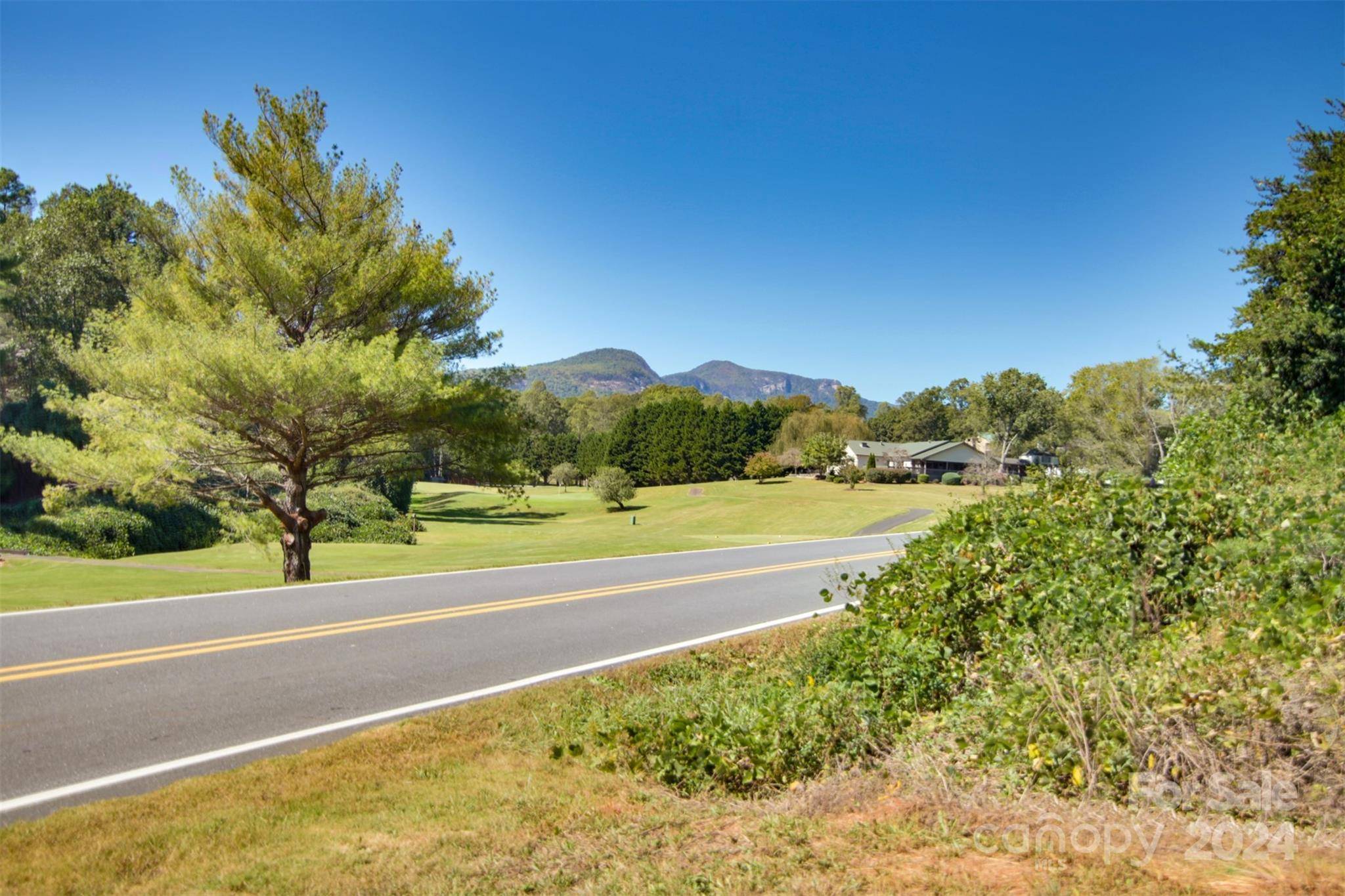 Lake Lure, NC 28746,Lot 13 Buffalo Creek RD #13