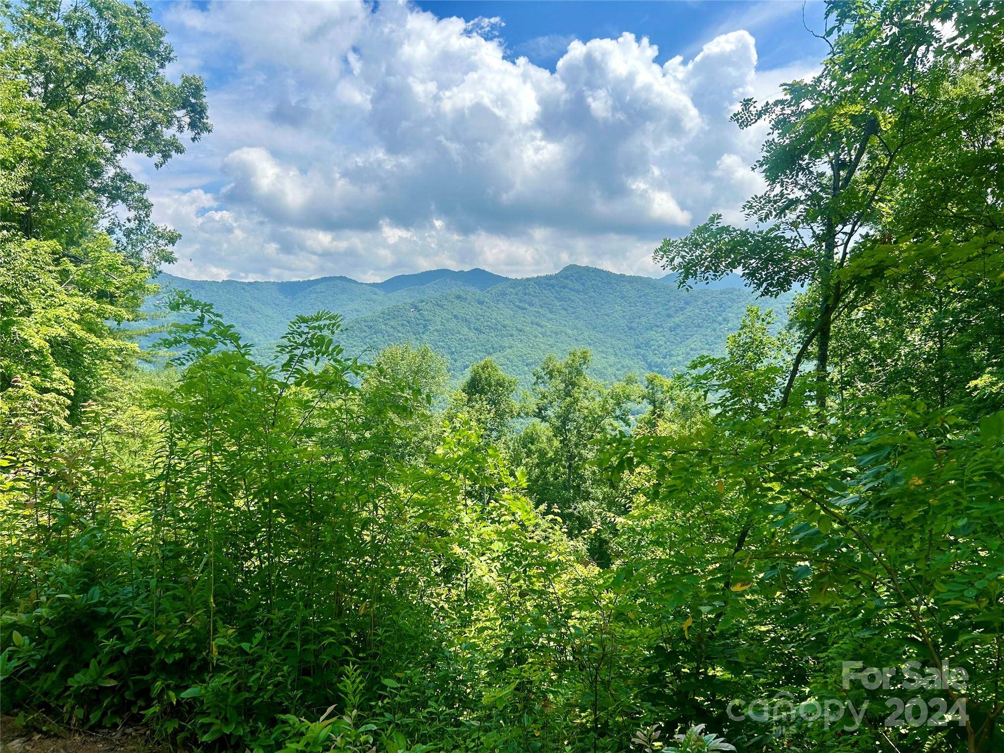 Bryson City, NC 28713,0 Hickory Rock RD #11