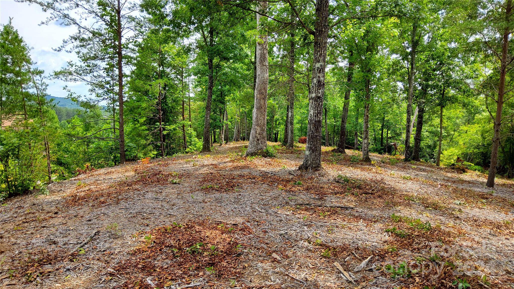 Lake Lure, NC 28746,00 Wambli PASS #20 & 21